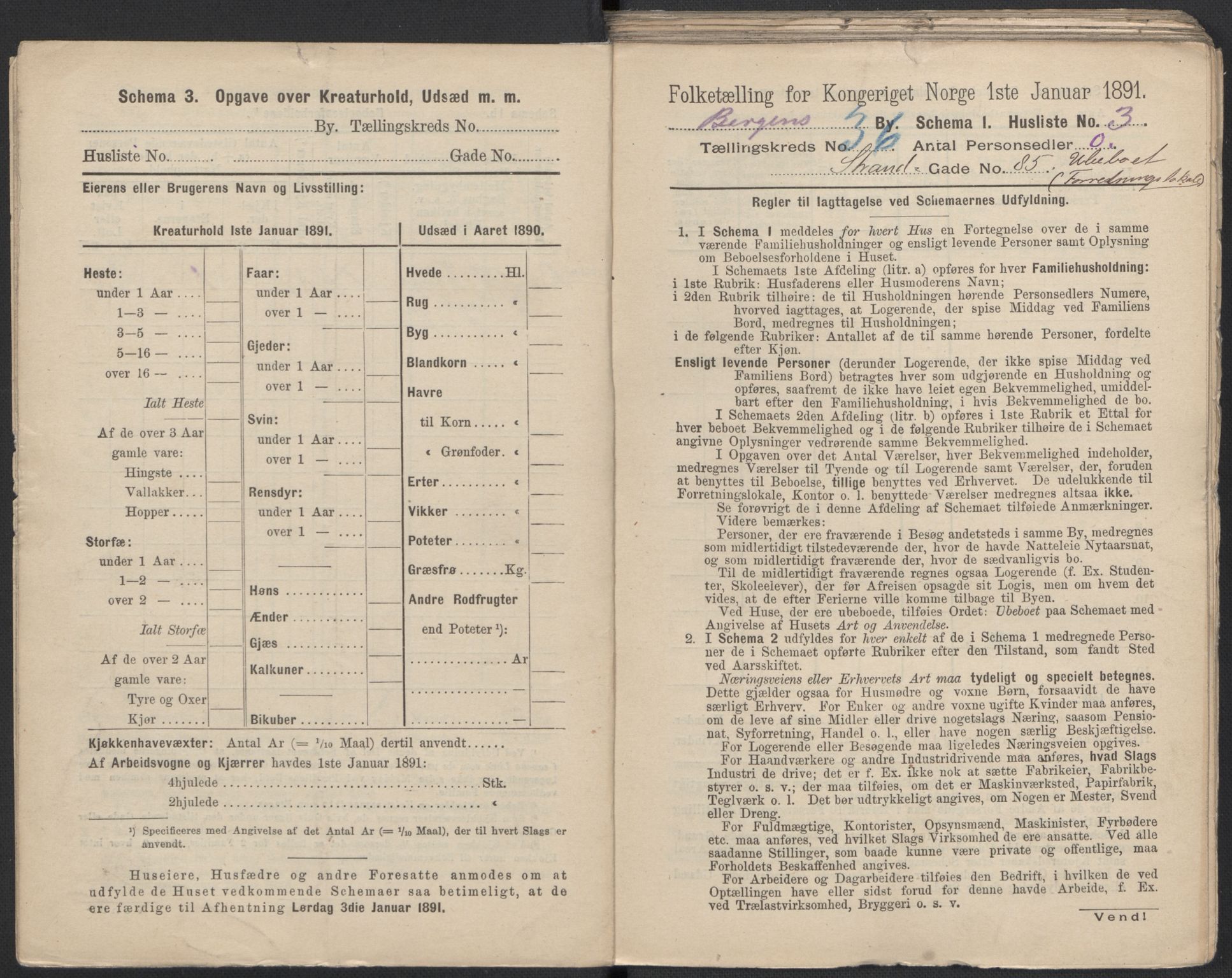 RA, 1891 Census for 1301 Bergen, 1891, p. 5787