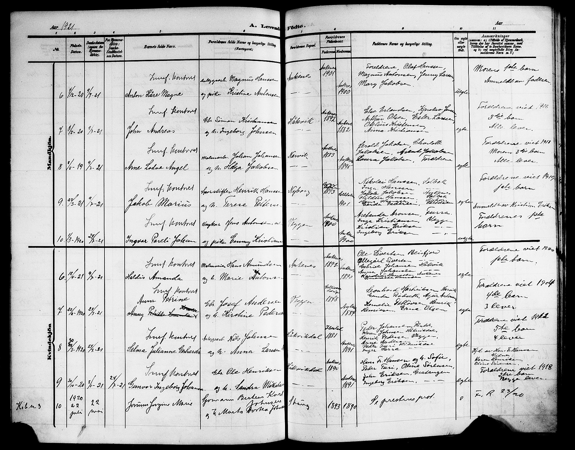 Ministerialprotokoller, klokkerbøker og fødselsregistre - Nordland, AV/SAT-A-1459/866/L0954: Parish register (copy) no. 866C03, 1905-1923