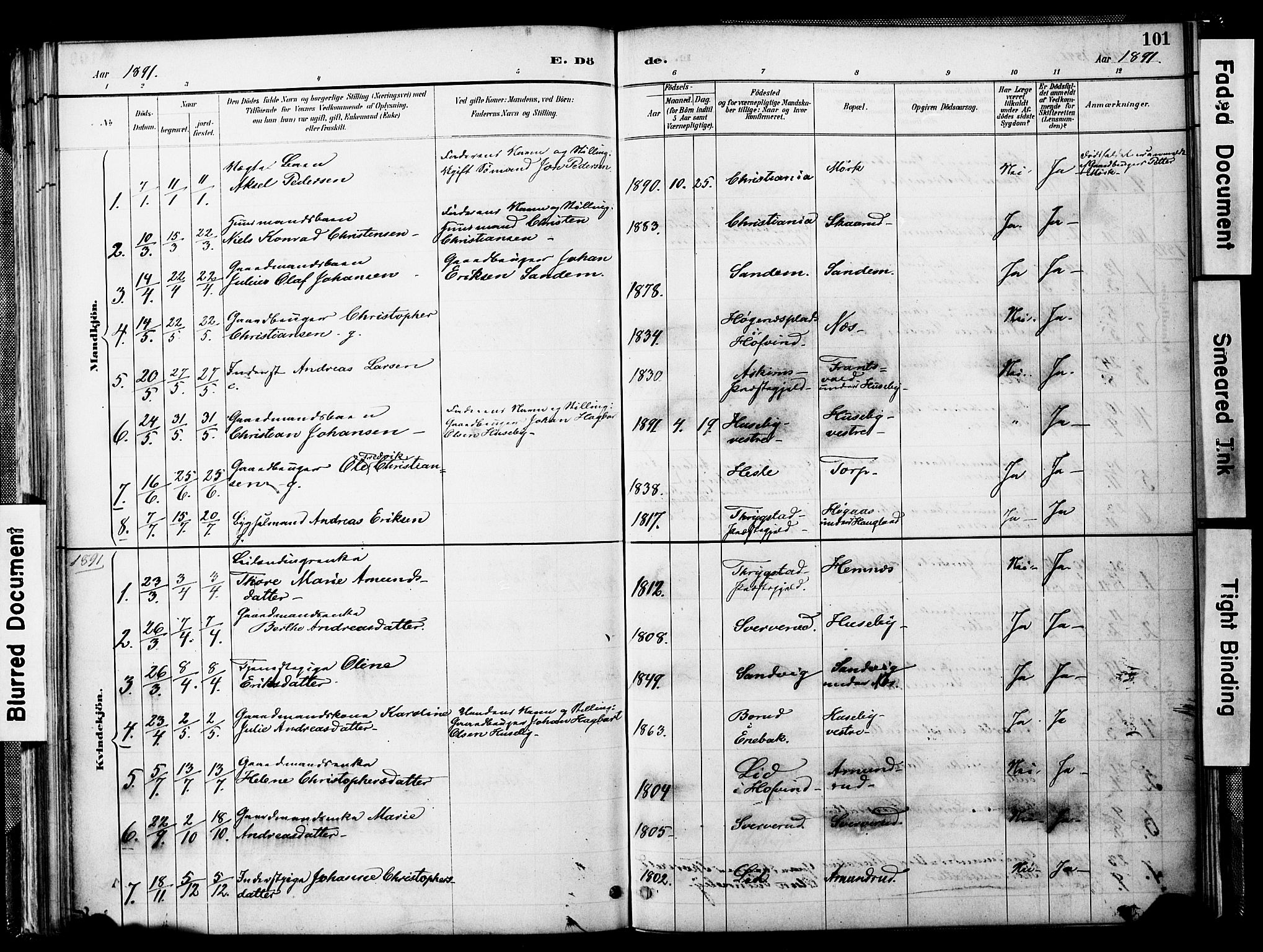 Spydeberg prestekontor Kirkebøker, SAO/A-10924/F/Fb/L0001: Parish register (official) no. II 1, 1886-1907, p. 101