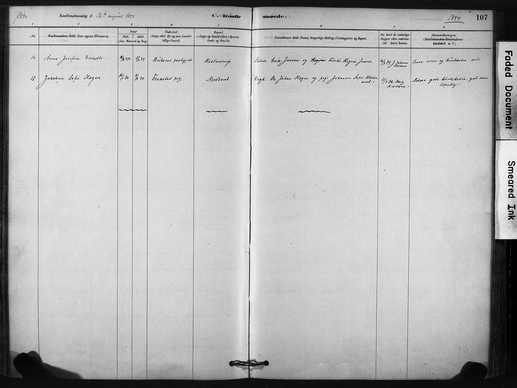 Ministerialprotokoller, klokkerbøker og fødselsregistre - Nordland, AV/SAT-A-1459/807/L0122: Parish register (official) no. 807A05, 1880-1902, p. 107