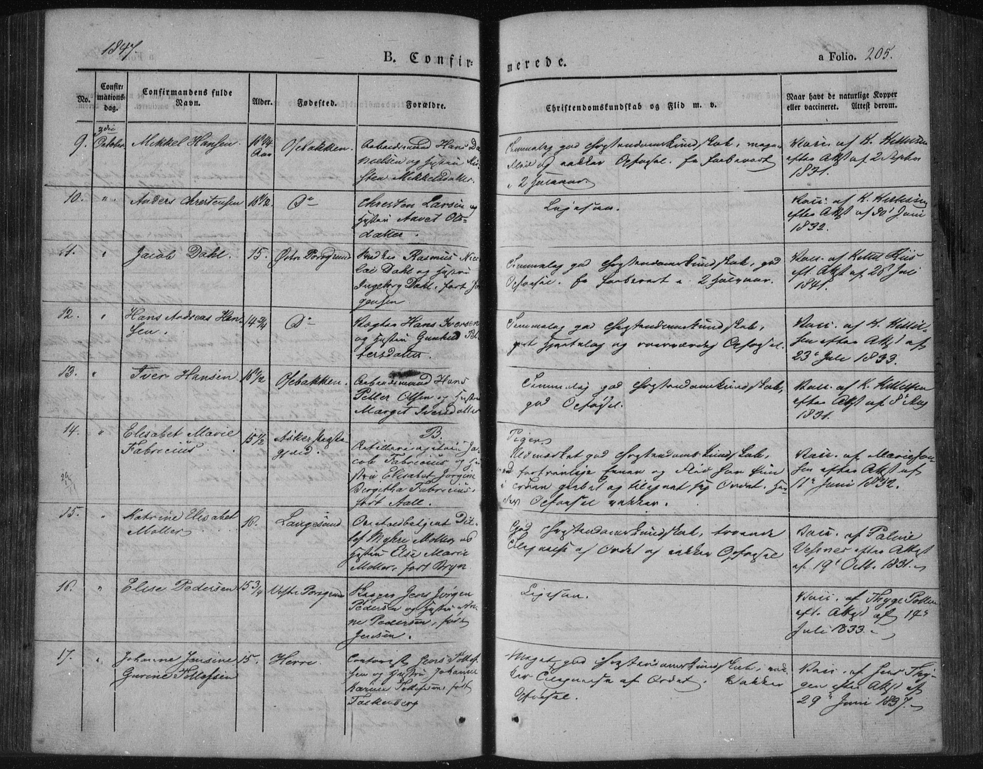 Porsgrunn kirkebøker , SAKO/A-104/F/Fa/L0006: Parish register (official) no. 6, 1841-1857, p. 205