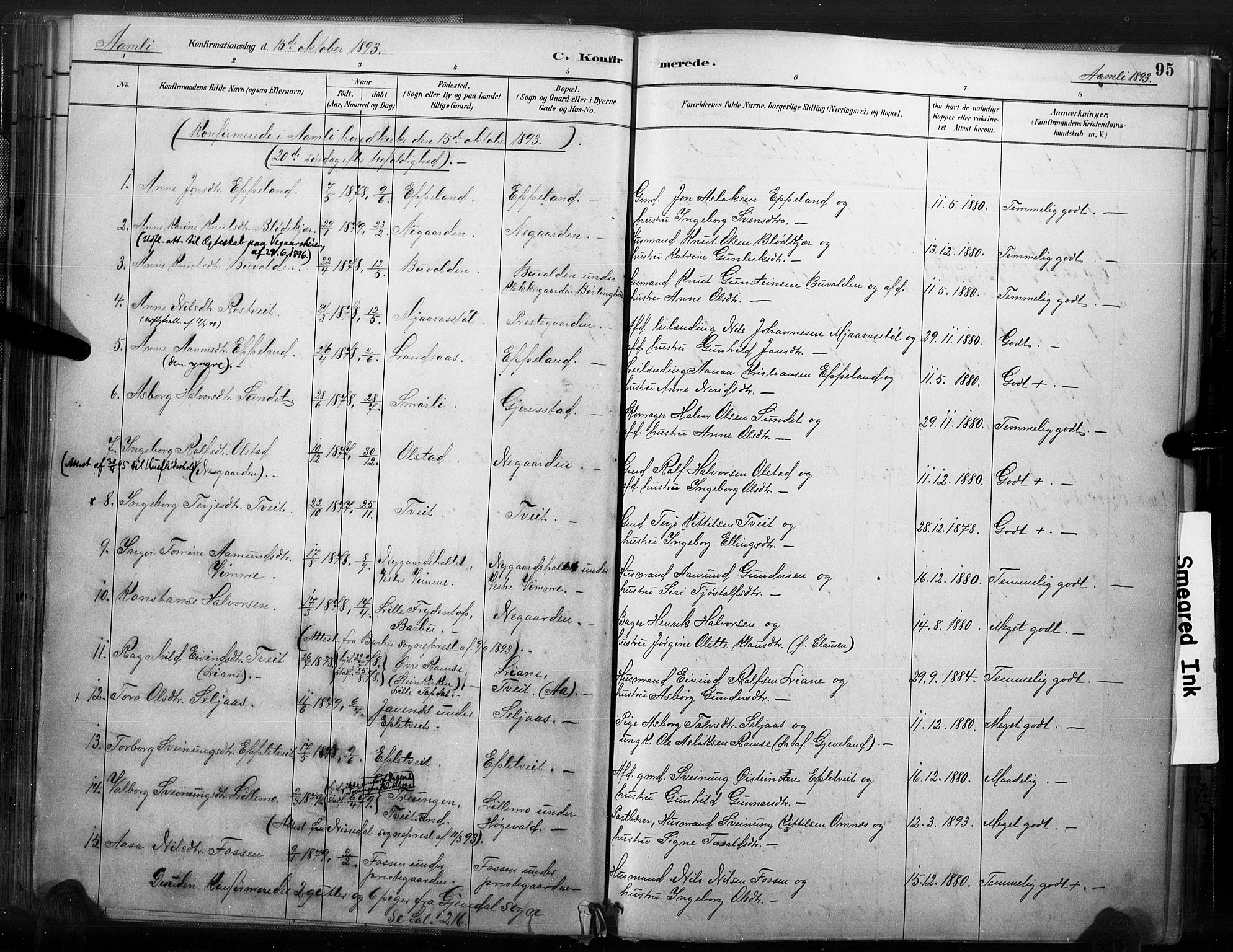 Åmli sokneprestkontor, AV/SAK-1111-0050/F/Fa/Fac/L0010: Parish register (official) no. A 10 /1, 1885-1899, p. 95