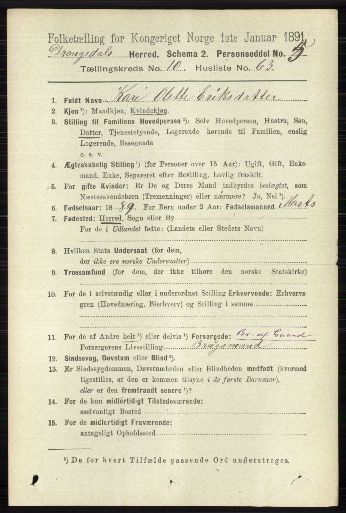 RA, 1891 census for 0817 Drangedal, 1891, p. 3821