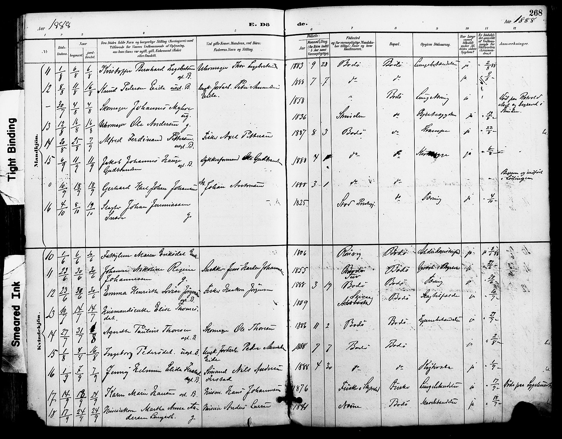 Ministerialprotokoller, klokkerbøker og fødselsregistre - Nordland, AV/SAT-A-1459/801/L0010: Parish register (official) no. 801A10, 1888-1899, p. 268