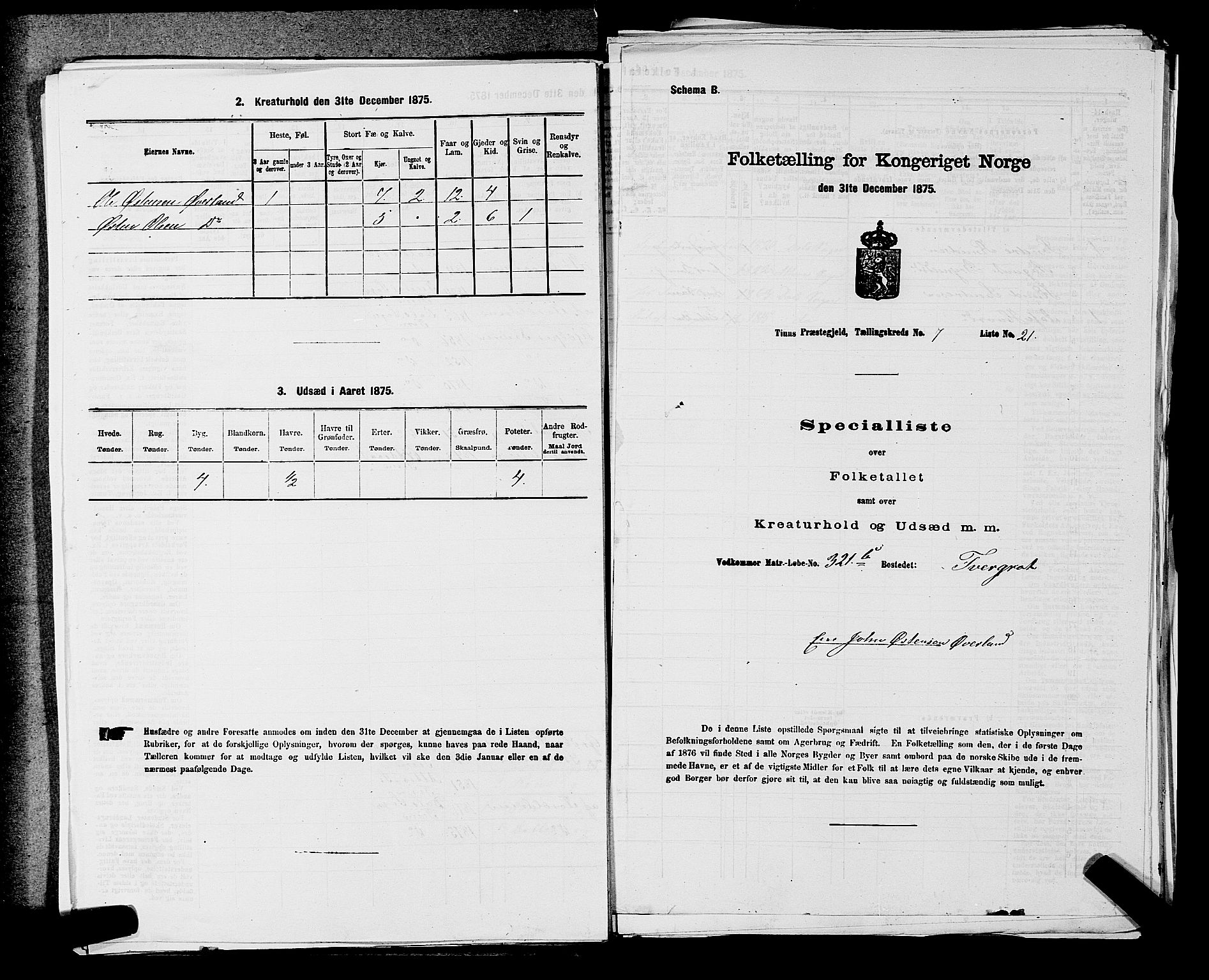 SAKO, 1875 census for 0826P Tinn, 1875, p. 968