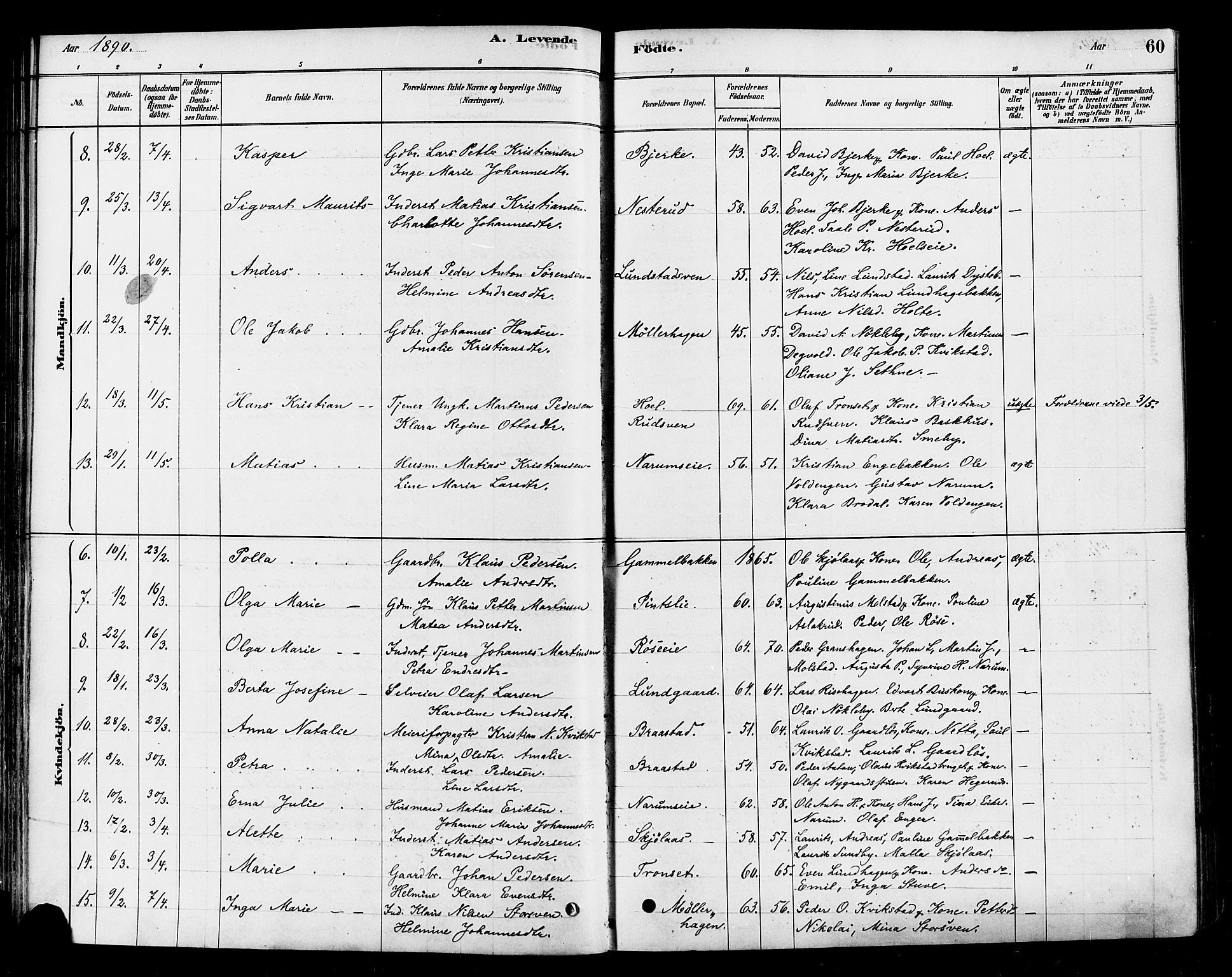 Vestre Toten prestekontor, AV/SAH-PREST-108/H/Ha/Haa/L0010: Parish register (official) no. 10, 1878-1894, p. 60