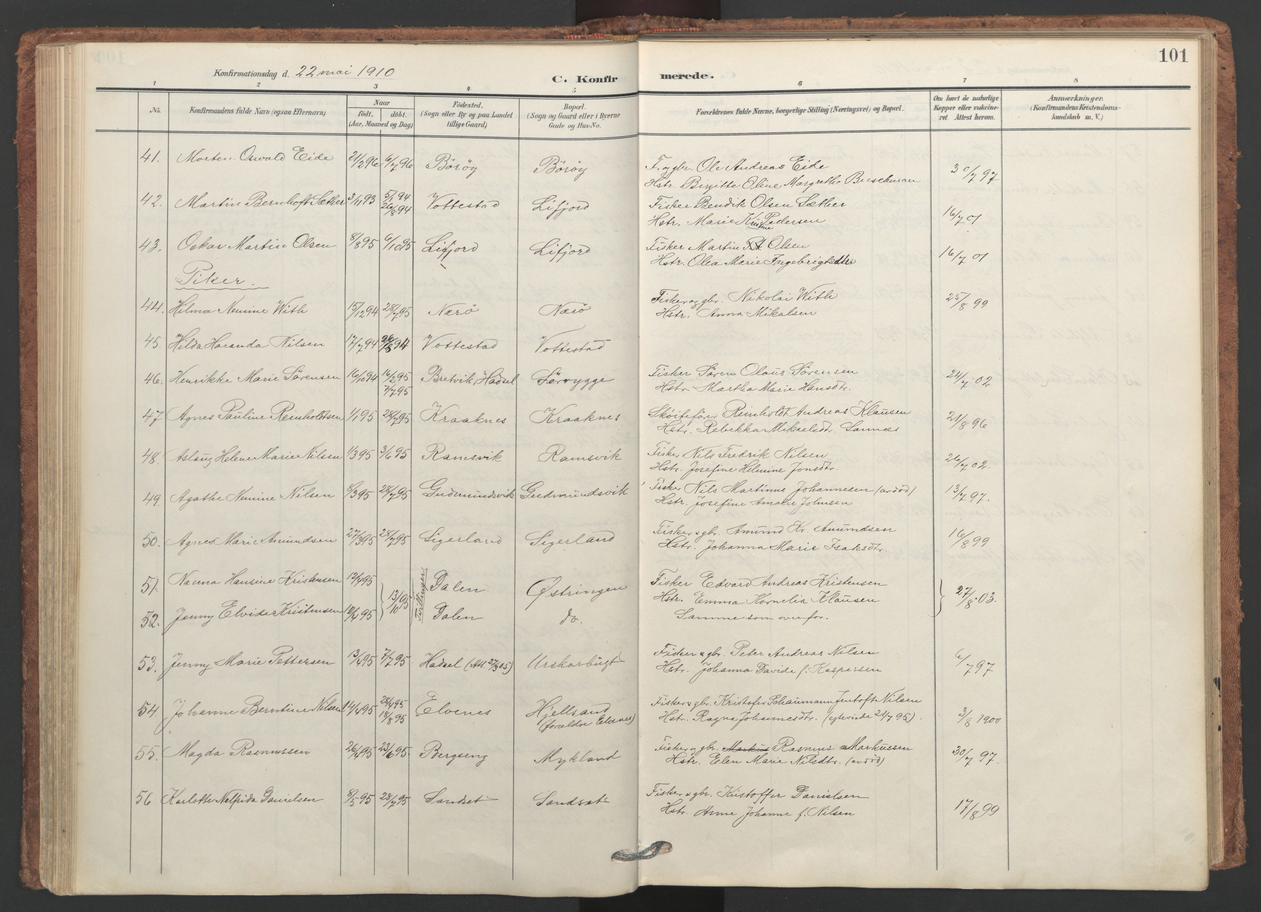 Ministerialprotokoller, klokkerbøker og fødselsregistre - Nordland, SAT/A-1459/893/L1339: Parish register (official) no. 893A11, 1904-1914, p. 101