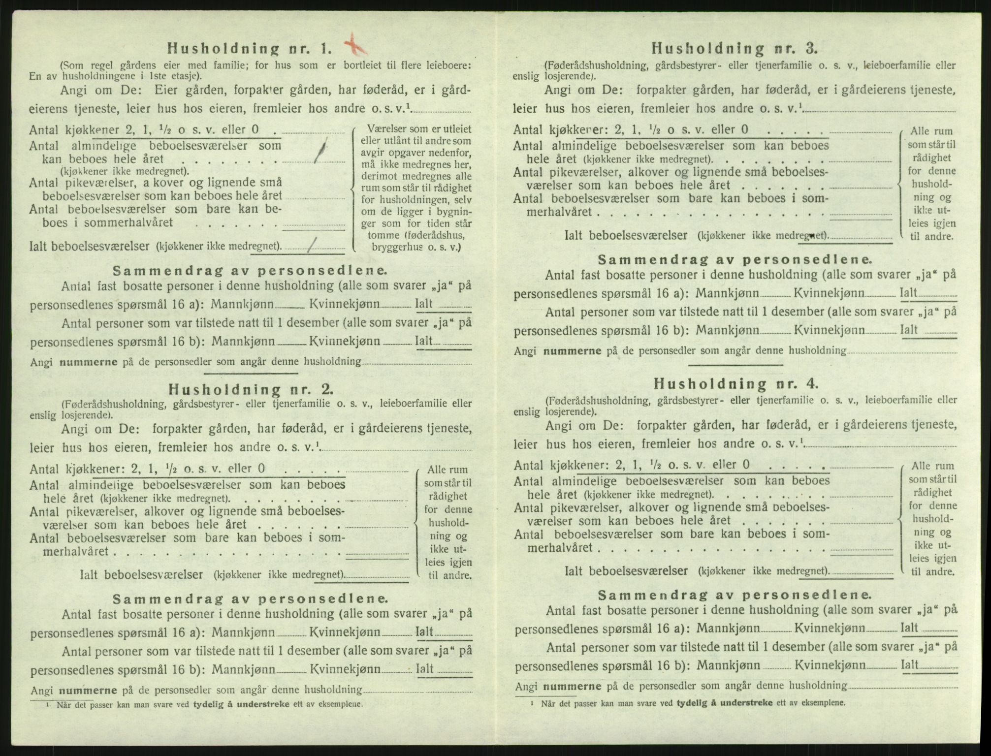 SAH, 1920 census for Lom, 1920, p. 919