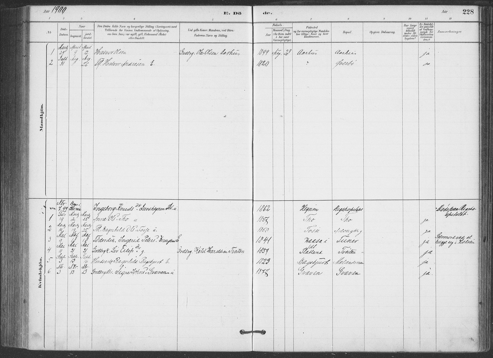 Hjartdal kirkebøker, SAKO/A-270/F/Fa/L0010: Parish register (official) no. I 10, 1880-1929, p. 228
