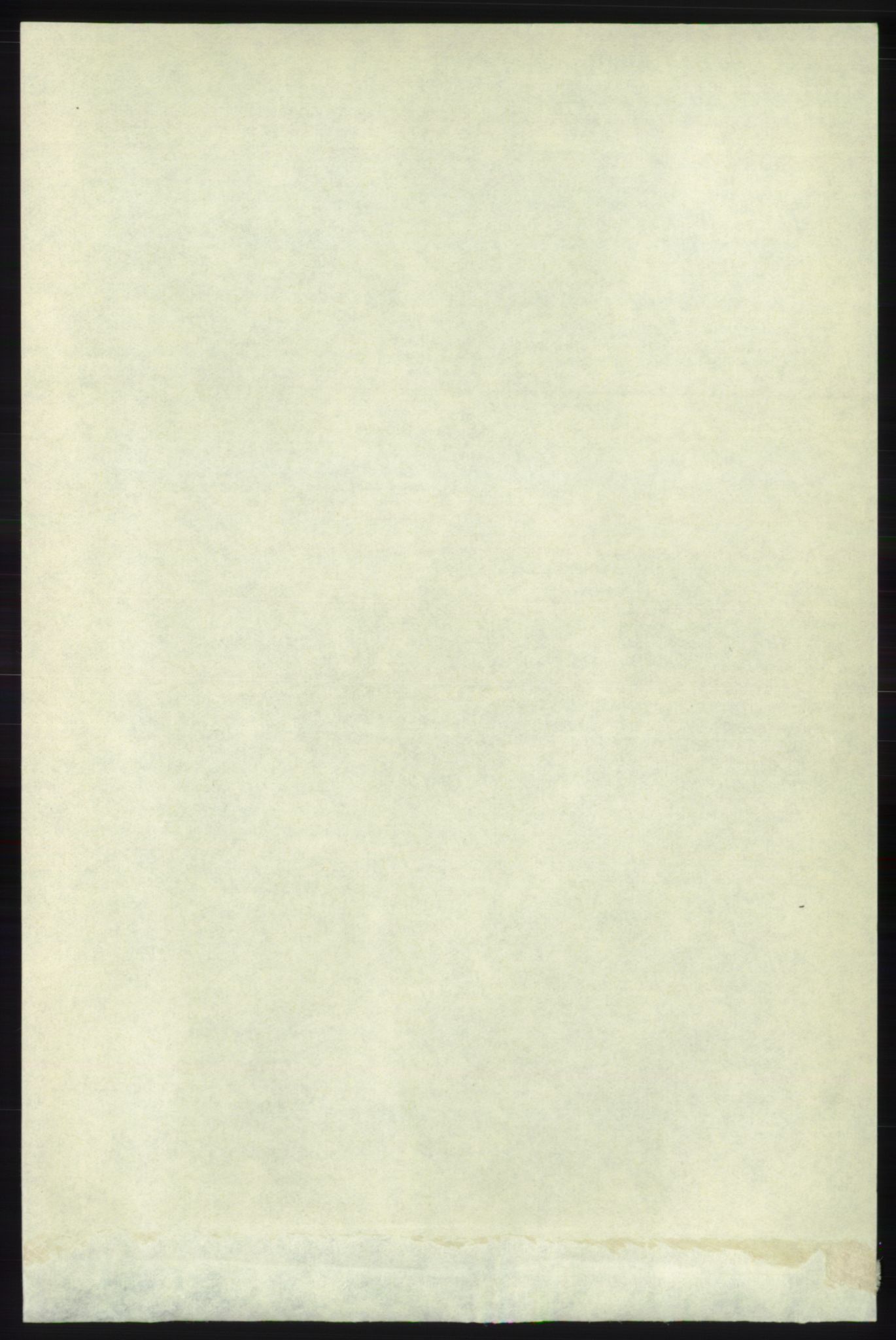 RA, 1891 census for 1154 Skjold, 1891, p. 1989