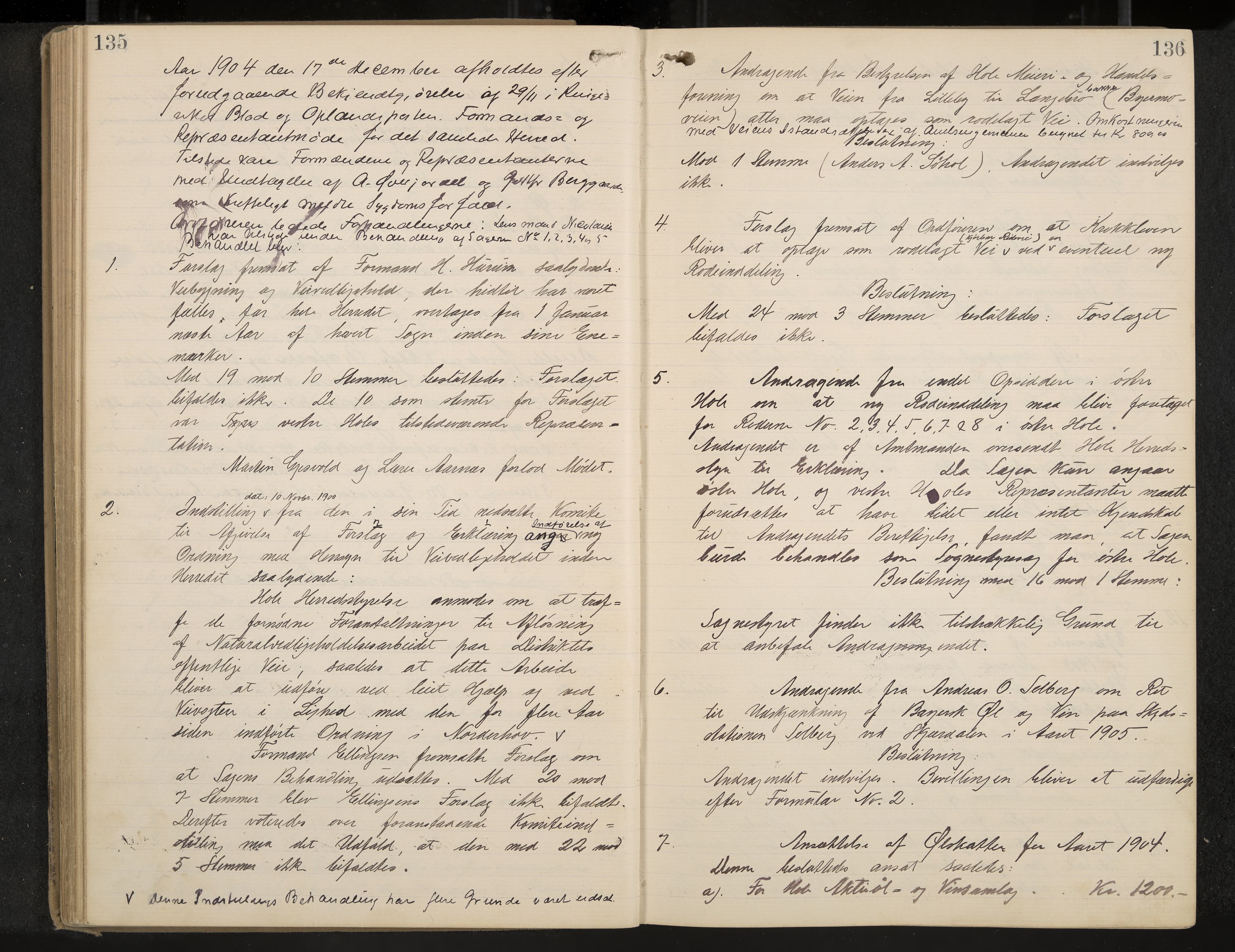 Hole formannskap og sentraladministrasjon, IKAK/0612021-1/A/Aa/L0004: Møtebok med register, 1902-1910, p. 135-136