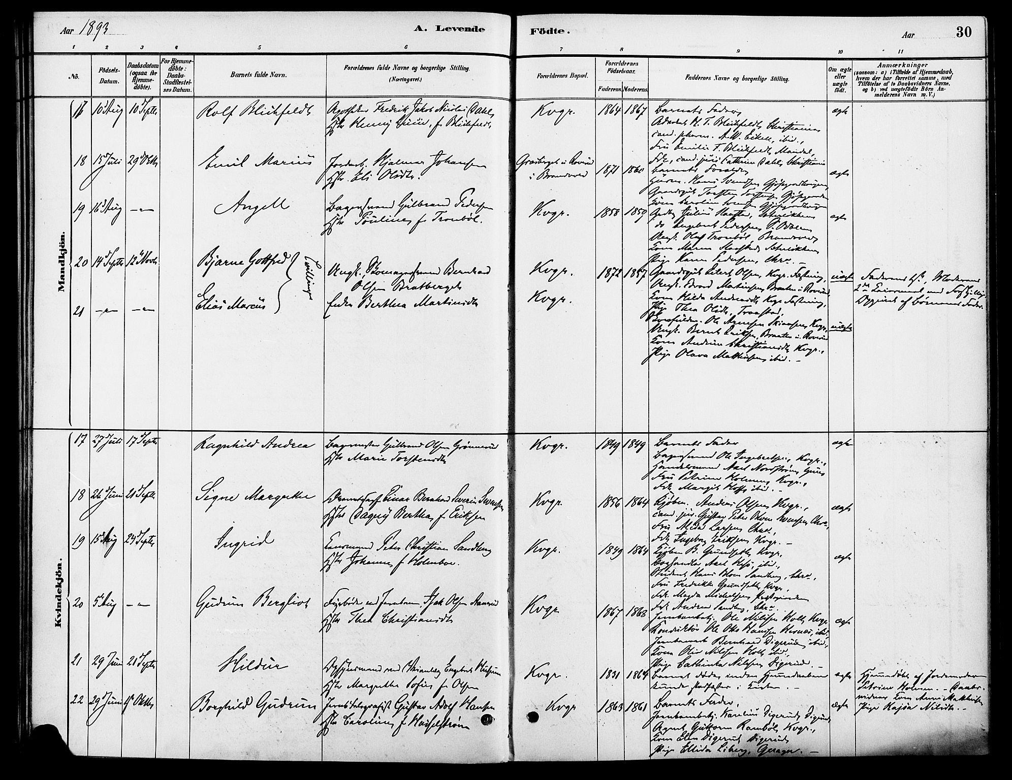 Vinger prestekontor, SAH/PREST-024/H/Ha/Haa/L0013: Parish register (official) no. 13, 1881-1897, p. 30