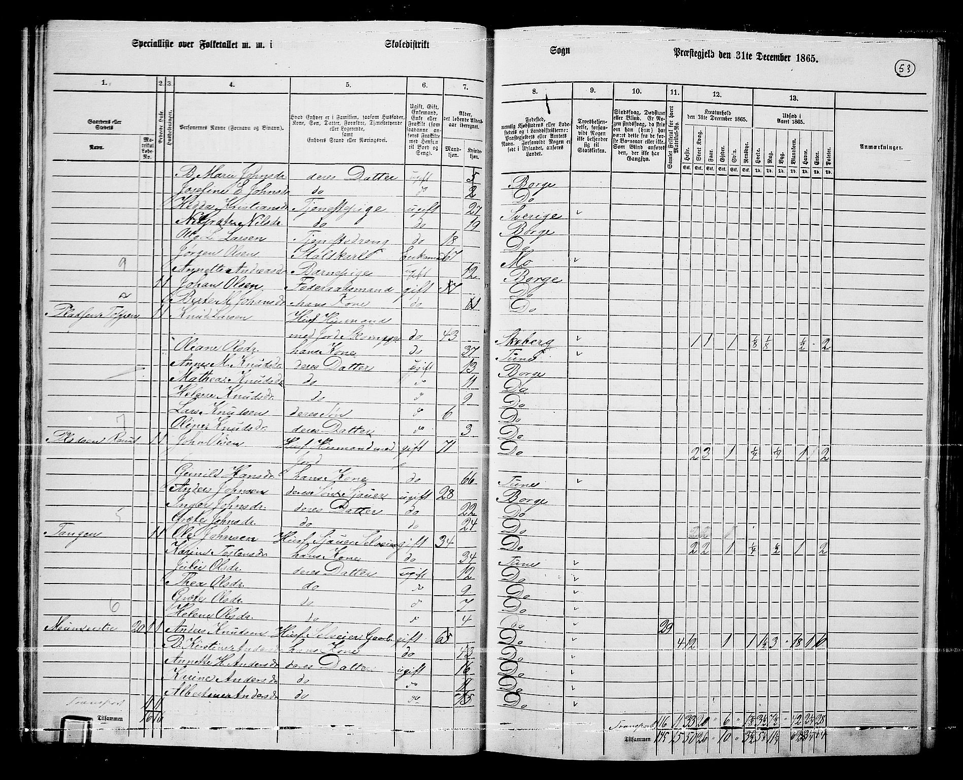 RA, 1865 census for Borge, 1865, p. 51