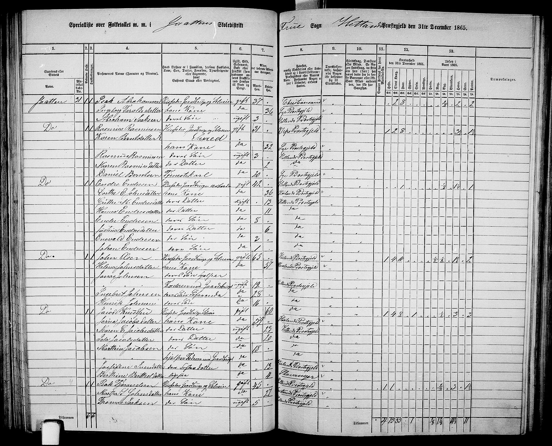 RA, 1865 census for Hetland, 1865, p. 98