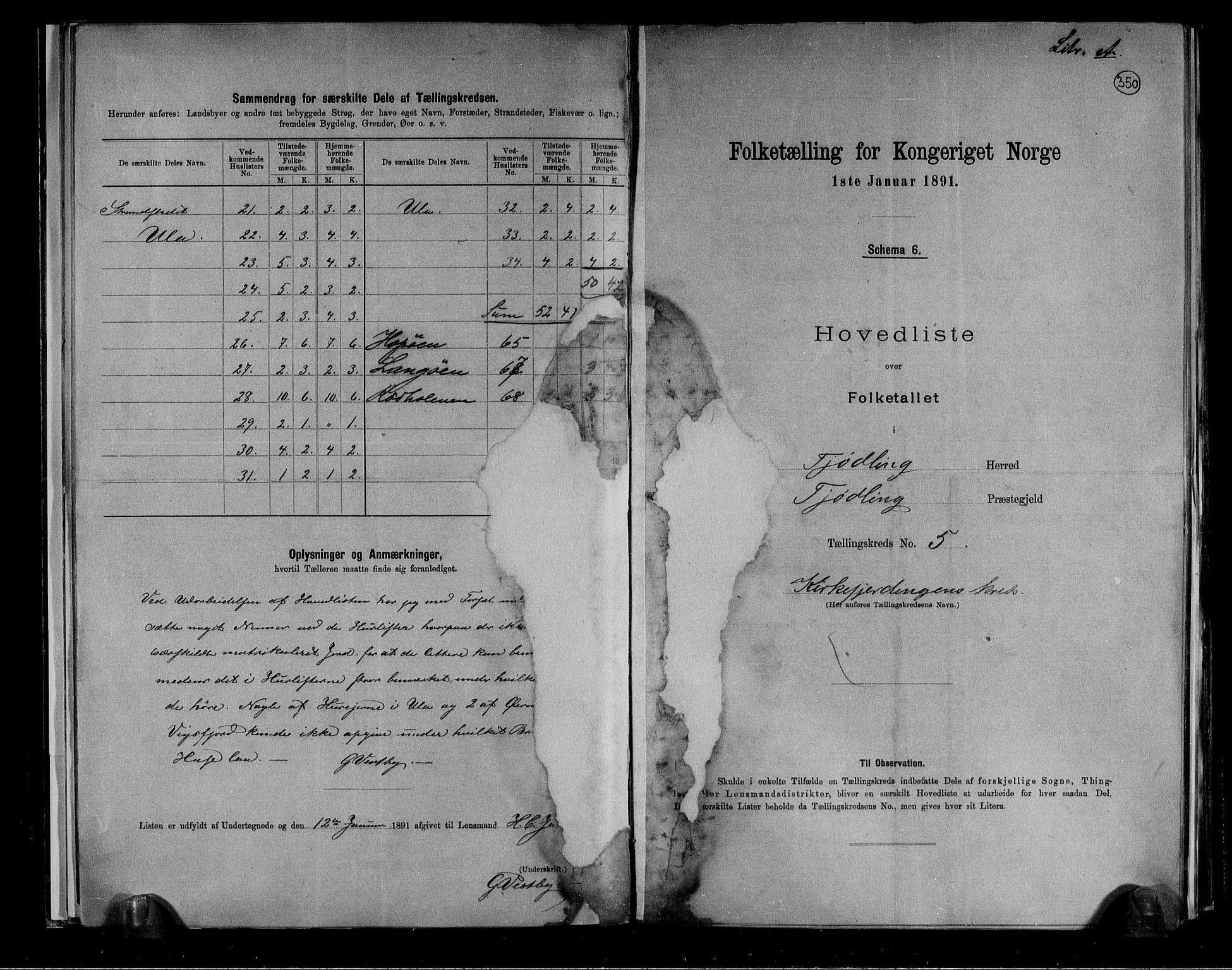 RA, 1891 census for 0725 Tjølling, 1891, p. 12