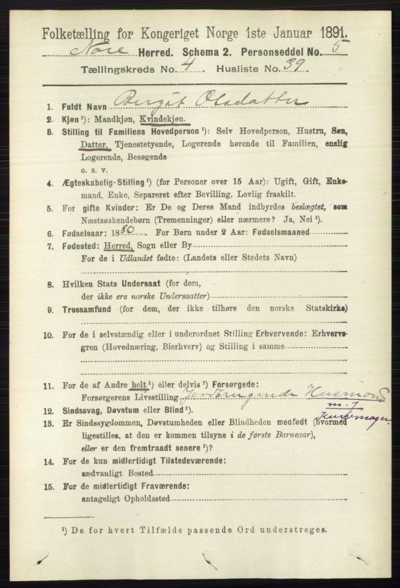 RA, 1891 census for 0633 Nore, 1891, p. 1498