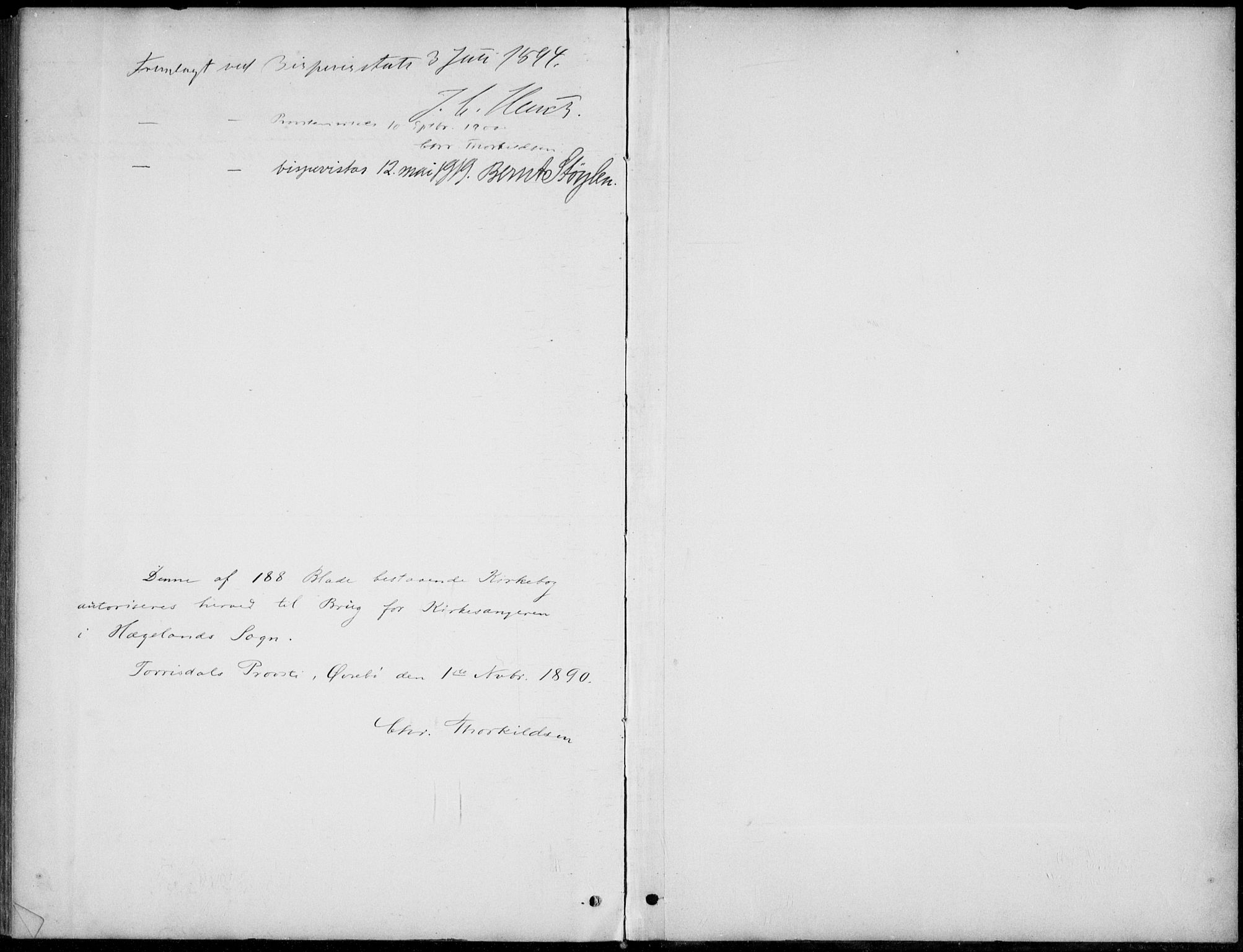 Vennesla sokneprestkontor, AV/SAK-1111-0045/Fb/Fba/L0003: Parish register (copy) no. B 3, 1890-1919, p. 189