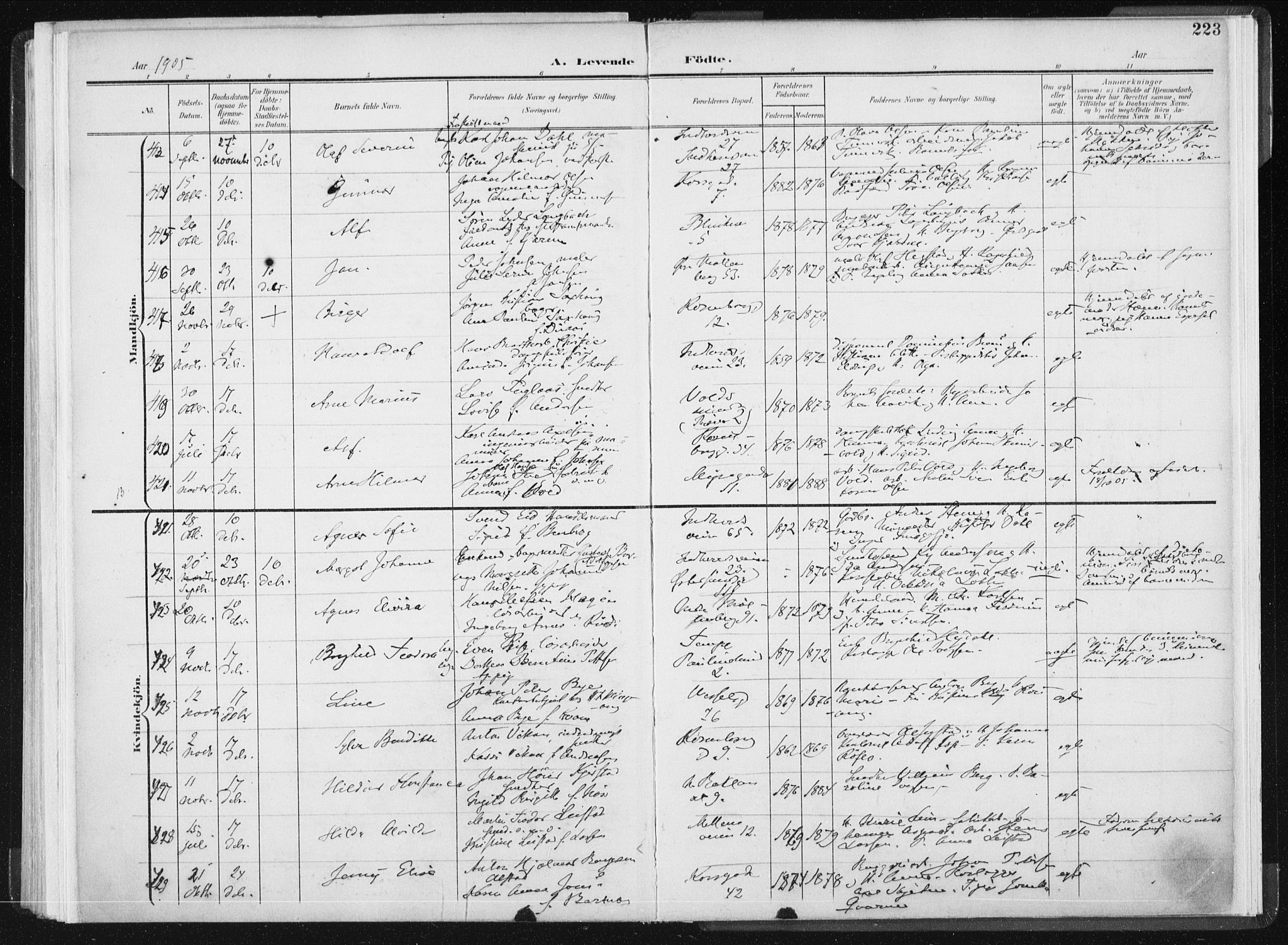 Ministerialprotokoller, klokkerbøker og fødselsregistre - Sør-Trøndelag, AV/SAT-A-1456/604/L0199: Parish register (official) no. 604A20I, 1901-1906, p. 223