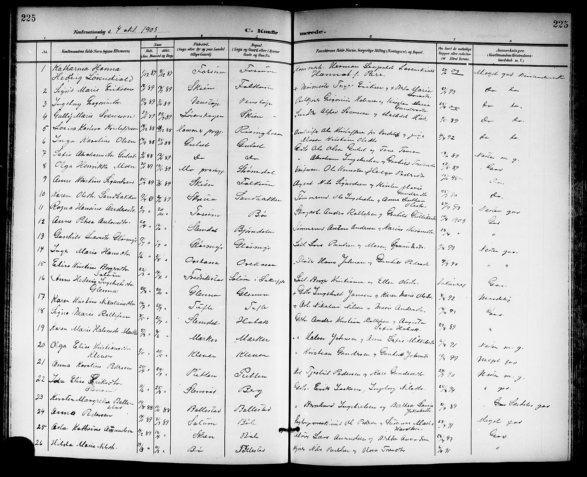 Gjerpen kirkebøker, SAKO/A-265/G/Ga/L0003: Parish register (copy) no. I 3, 1901-1919, p. 225