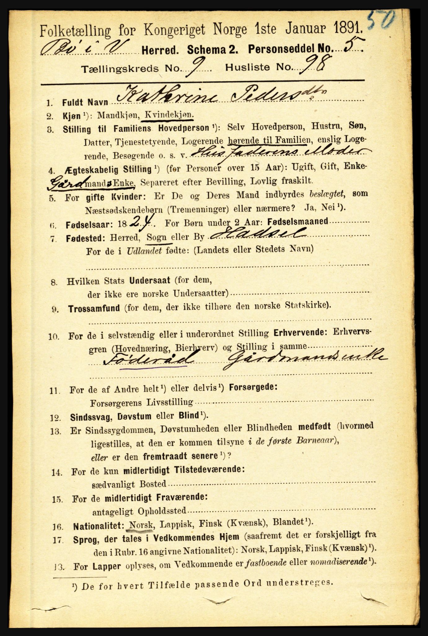 RA, 1891 census for 1867 Bø, 1891, p. 3976