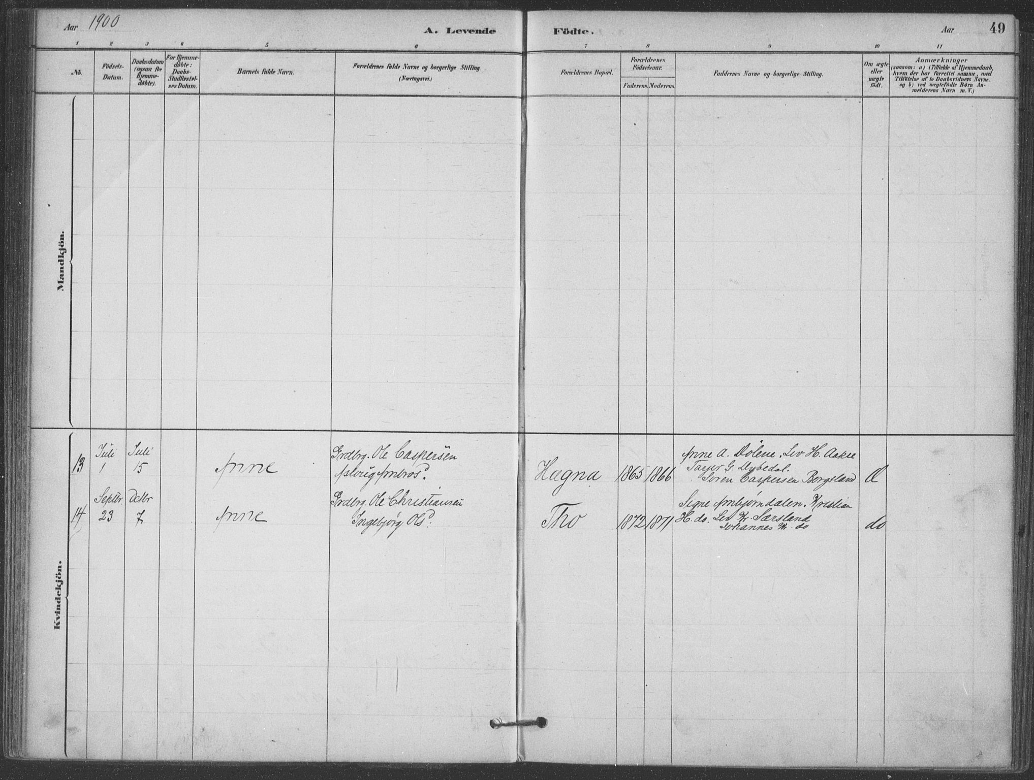 Hjartdal kirkebøker, SAKO/A-270/F/Fa/L0010: Parish register (official) no. I 10, 1880-1929, p. 49