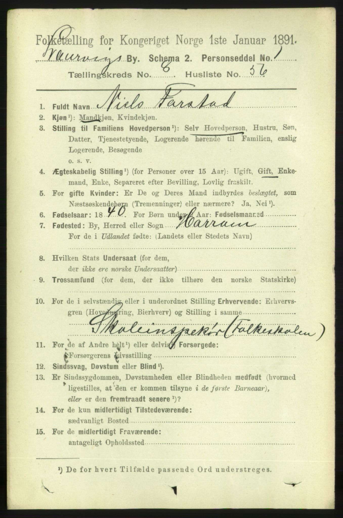 RA, 1891 census for 0707 Larvik, 1891, p. 8488