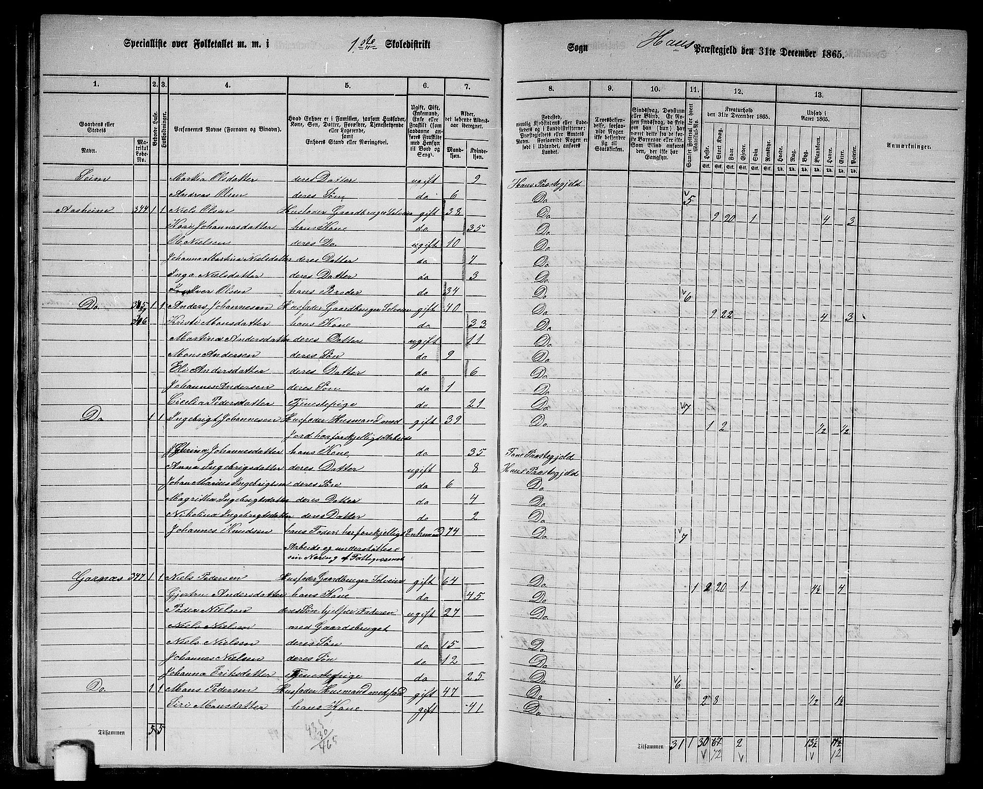 RA, 1865 census for Haus, 1865, p. 33