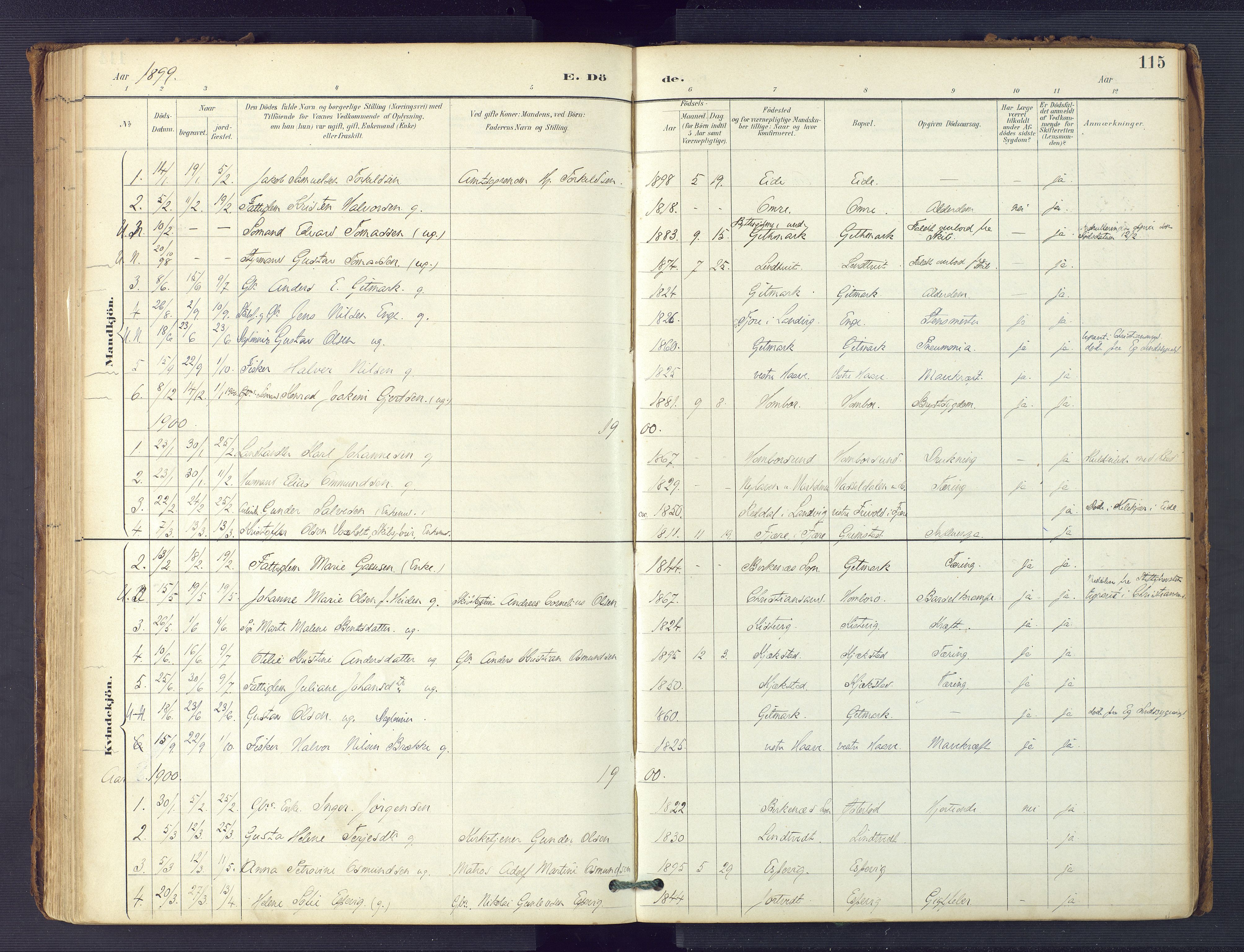 Hommedal sokneprestkontor, SAK/1111-0023/F/Fa/Faa/L0003: Parish register (official) no. A 3, 1885-1916, p. 115
