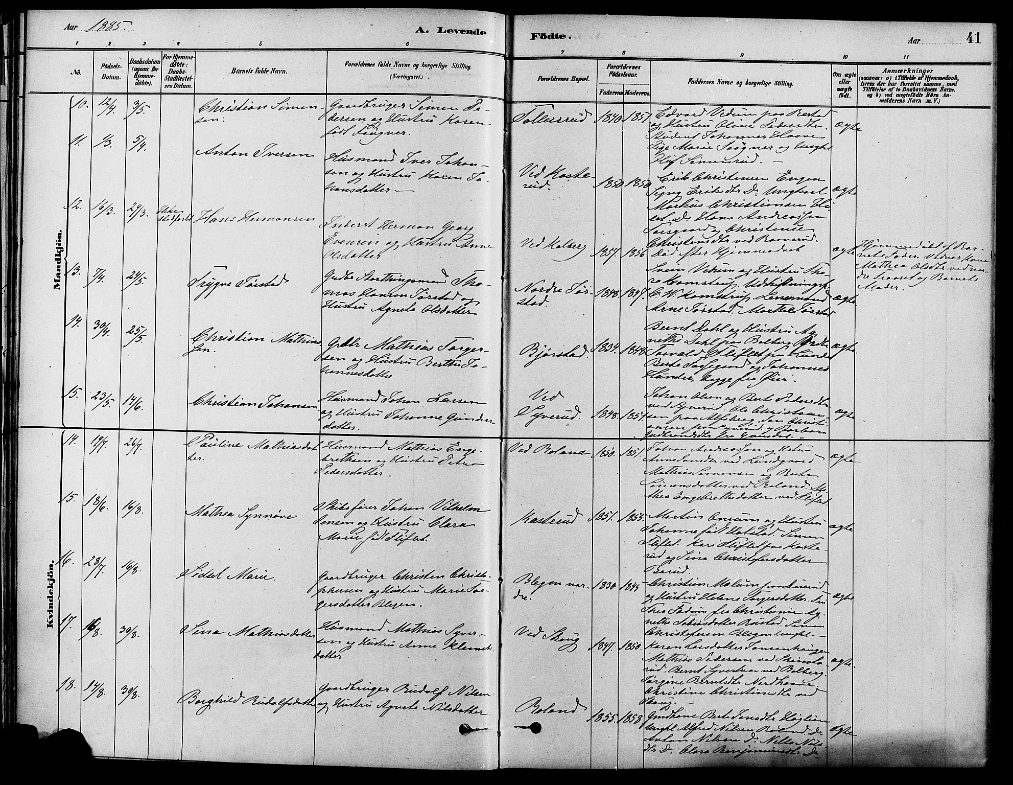 Fåberg prestekontor, SAH/PREST-086/H/Ha/Haa/L0008: Parish register (official) no. 8, 1879-1898, p. 41