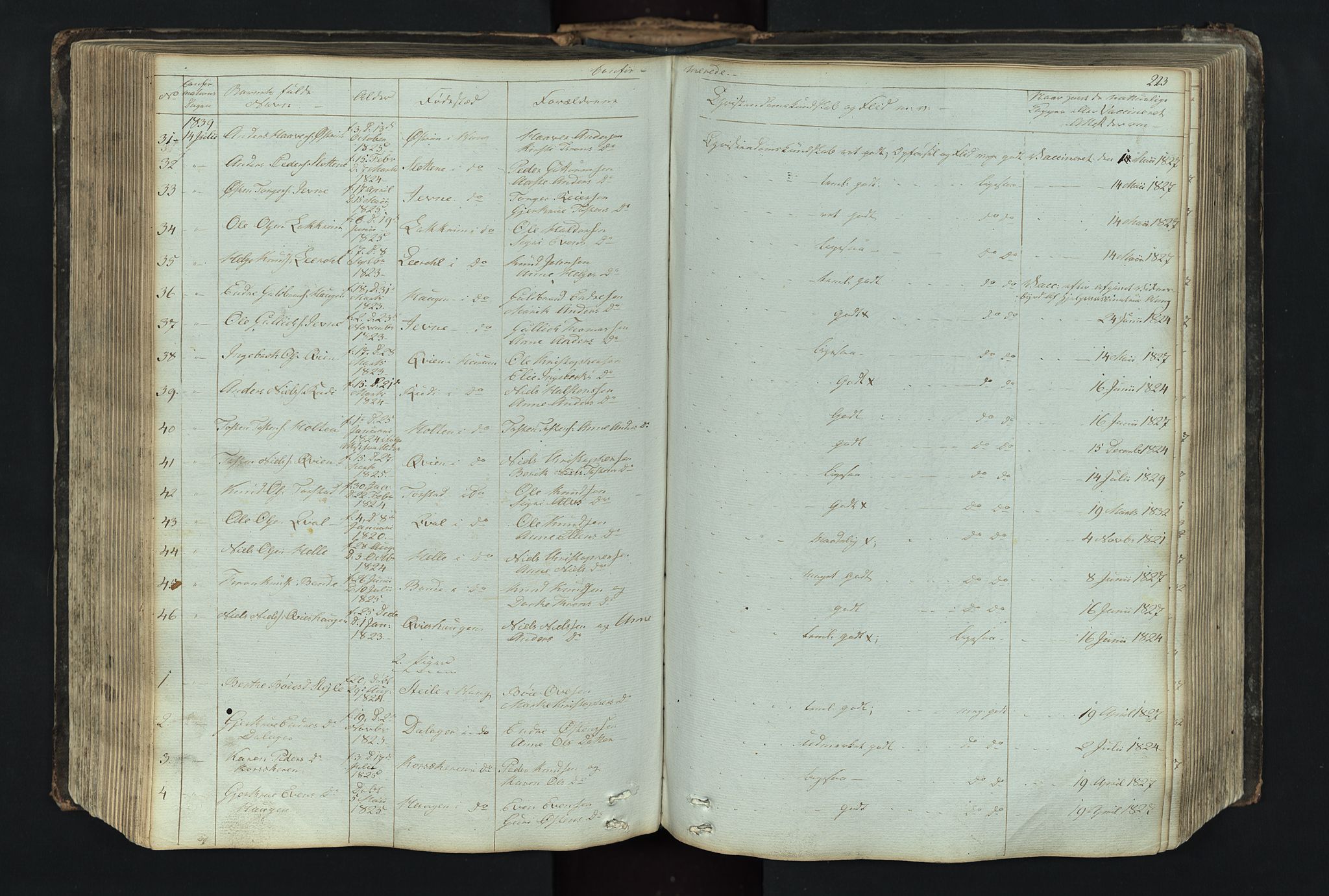 Vang prestekontor, Valdres, SAH/PREST-140/H/Hb/L0004: Parish register (copy) no. 4, 1835-1892, p. 223