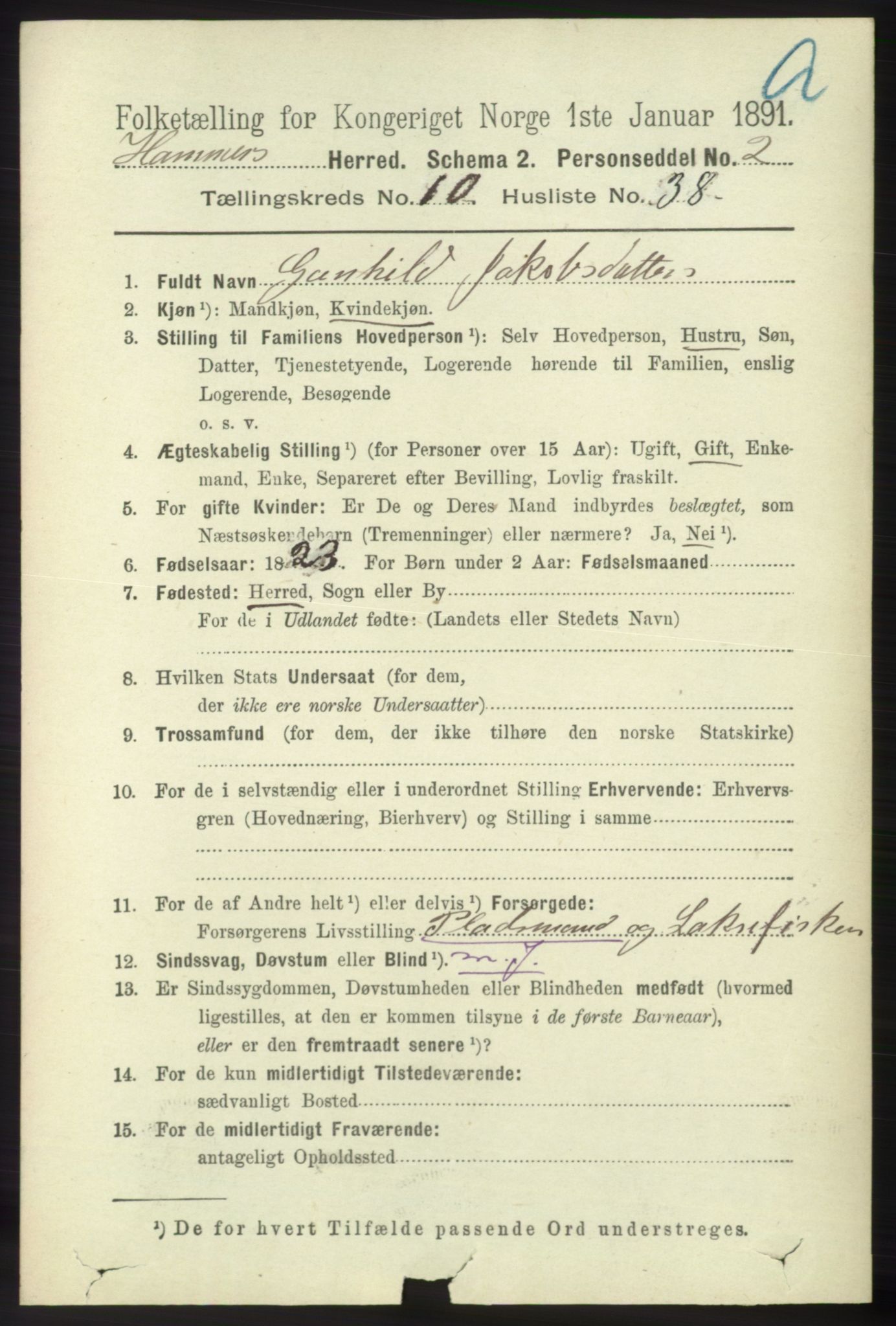 RA, 1891 census for 1254 Hamre, 1891, p. 3022