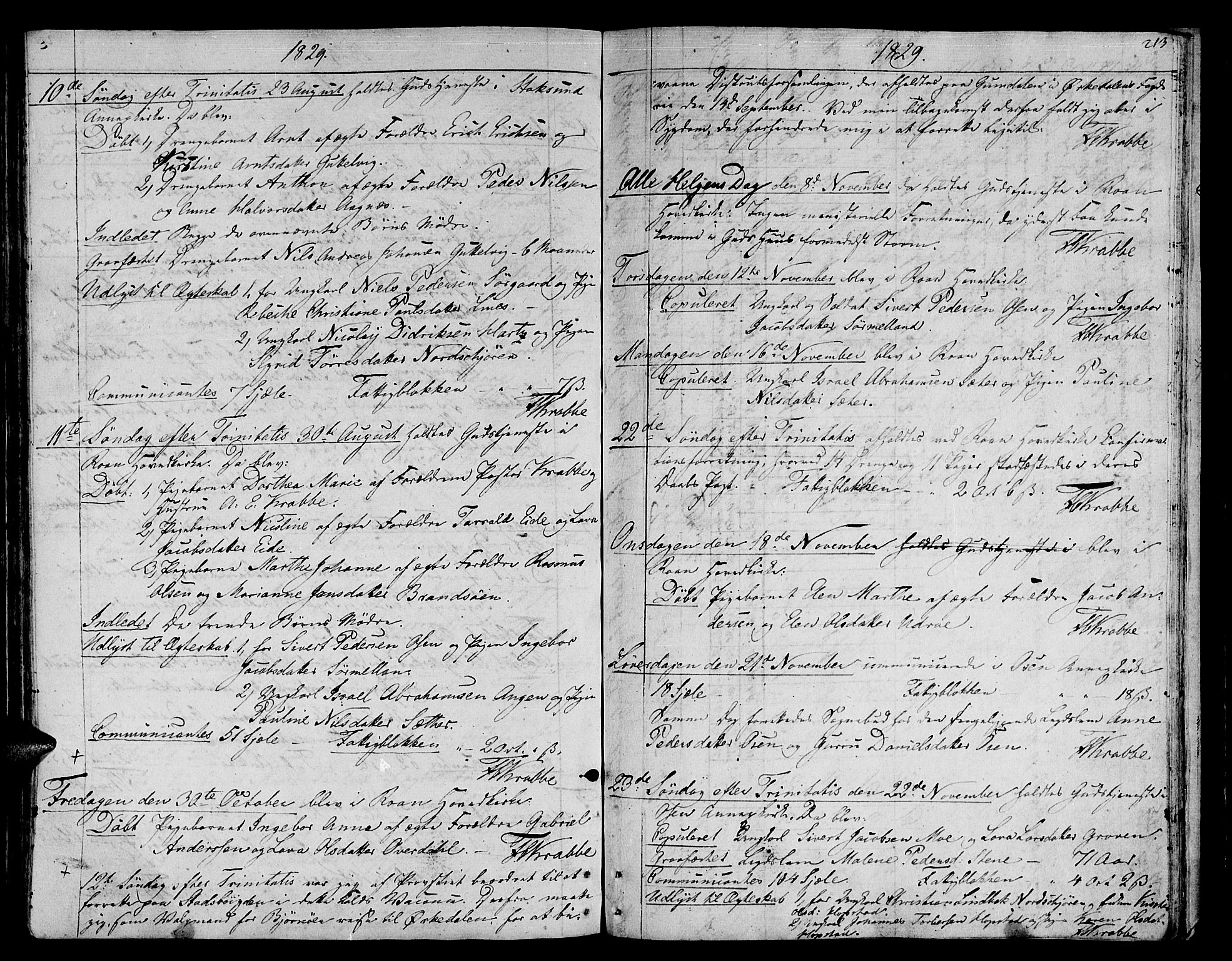 Ministerialprotokoller, klokkerbøker og fødselsregistre - Sør-Trøndelag, SAT/A-1456/657/L0701: Parish register (official) no. 657A02, 1802-1831, p. 213