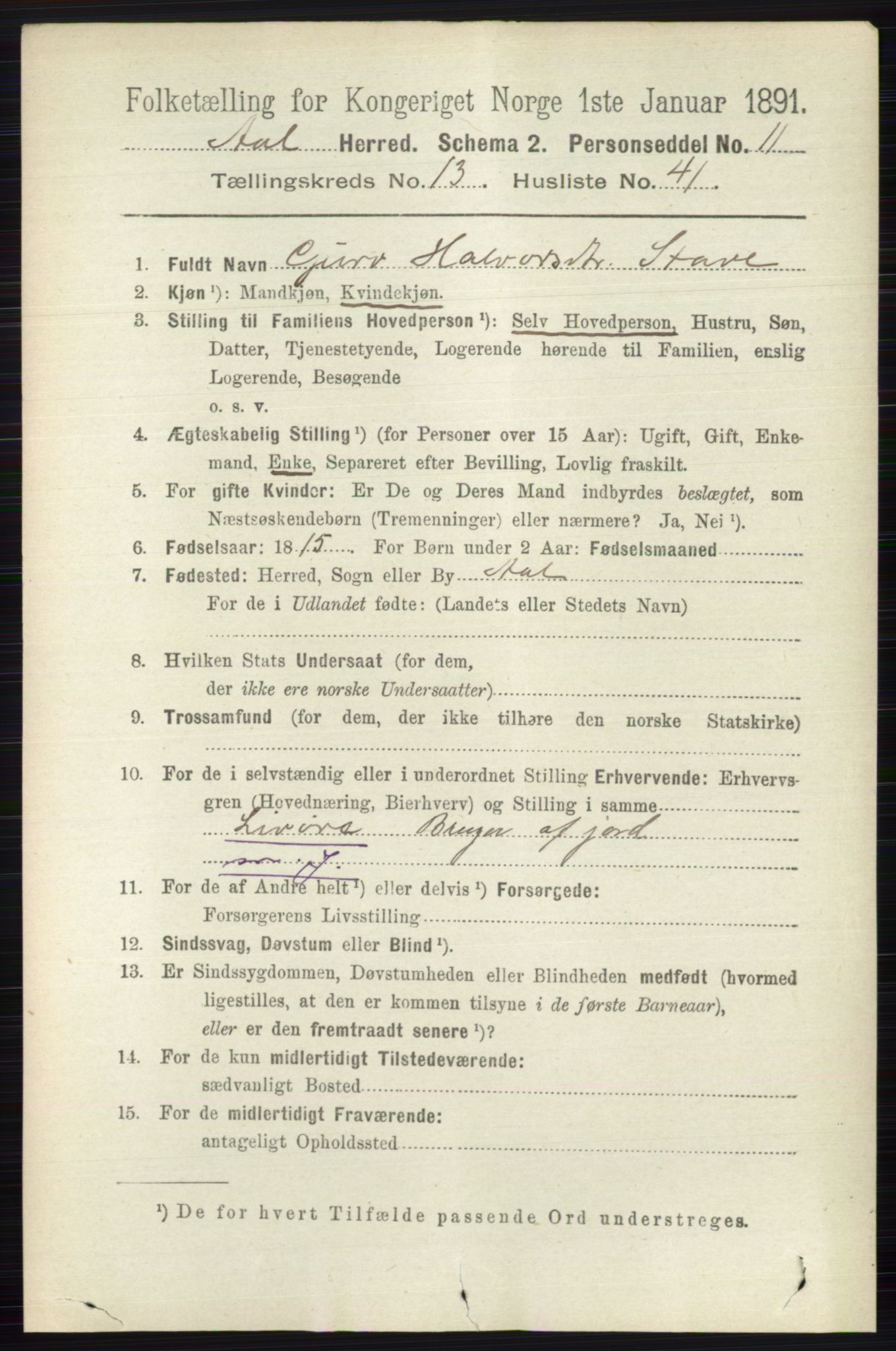 RA, 1891 census for 0619 Ål, 1891, p. 3492