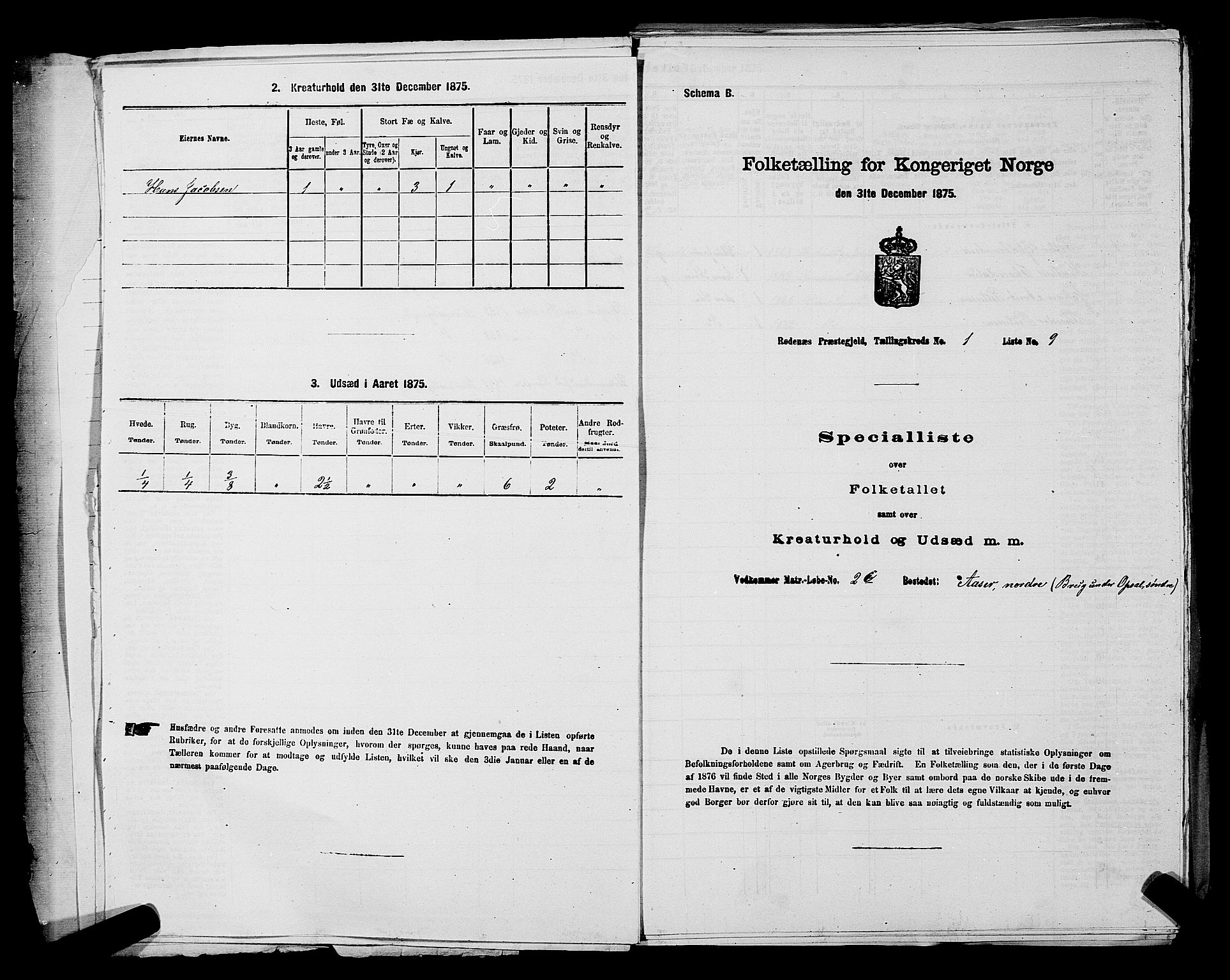 RA, 1875 census for 0120P Rødenes, 1875, p. 31