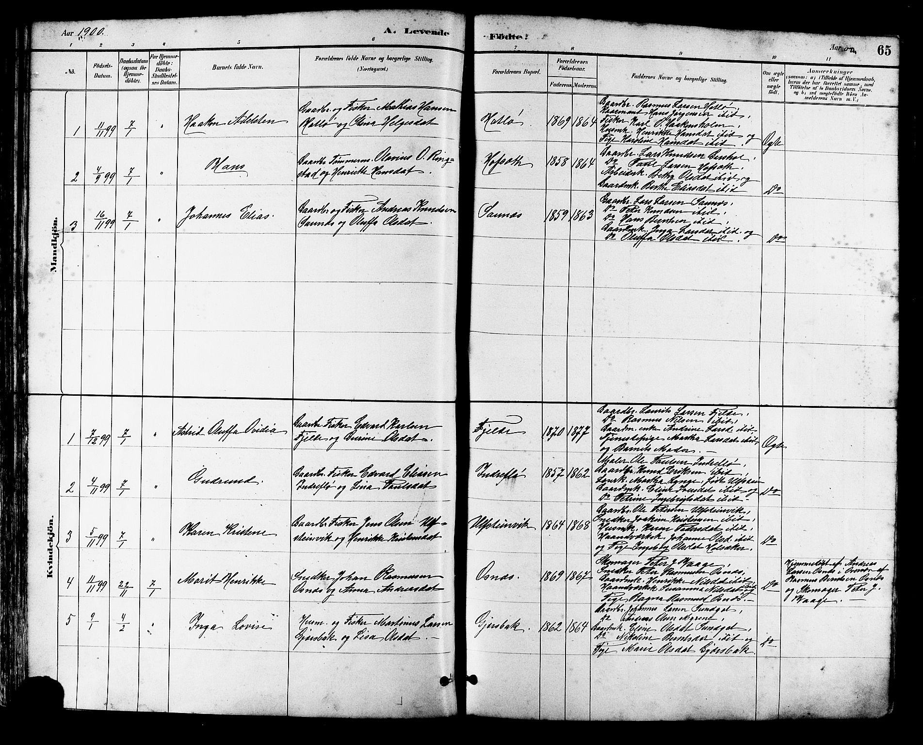 Ministerialprotokoller, klokkerbøker og fødselsregistre - Møre og Romsdal, AV/SAT-A-1454/509/L0112: Parish register (copy) no. 509C02, 1883-1922, p. 65