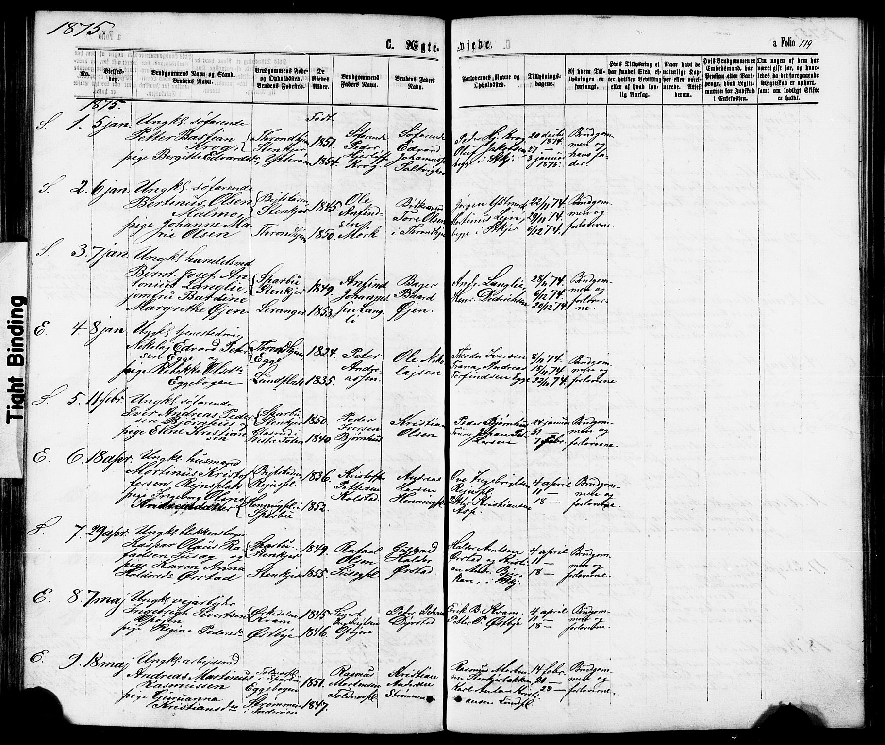Ministerialprotokoller, klokkerbøker og fødselsregistre - Nord-Trøndelag, SAT/A-1458/739/L0370: Parish register (official) no. 739A02, 1868-1881, p. 119