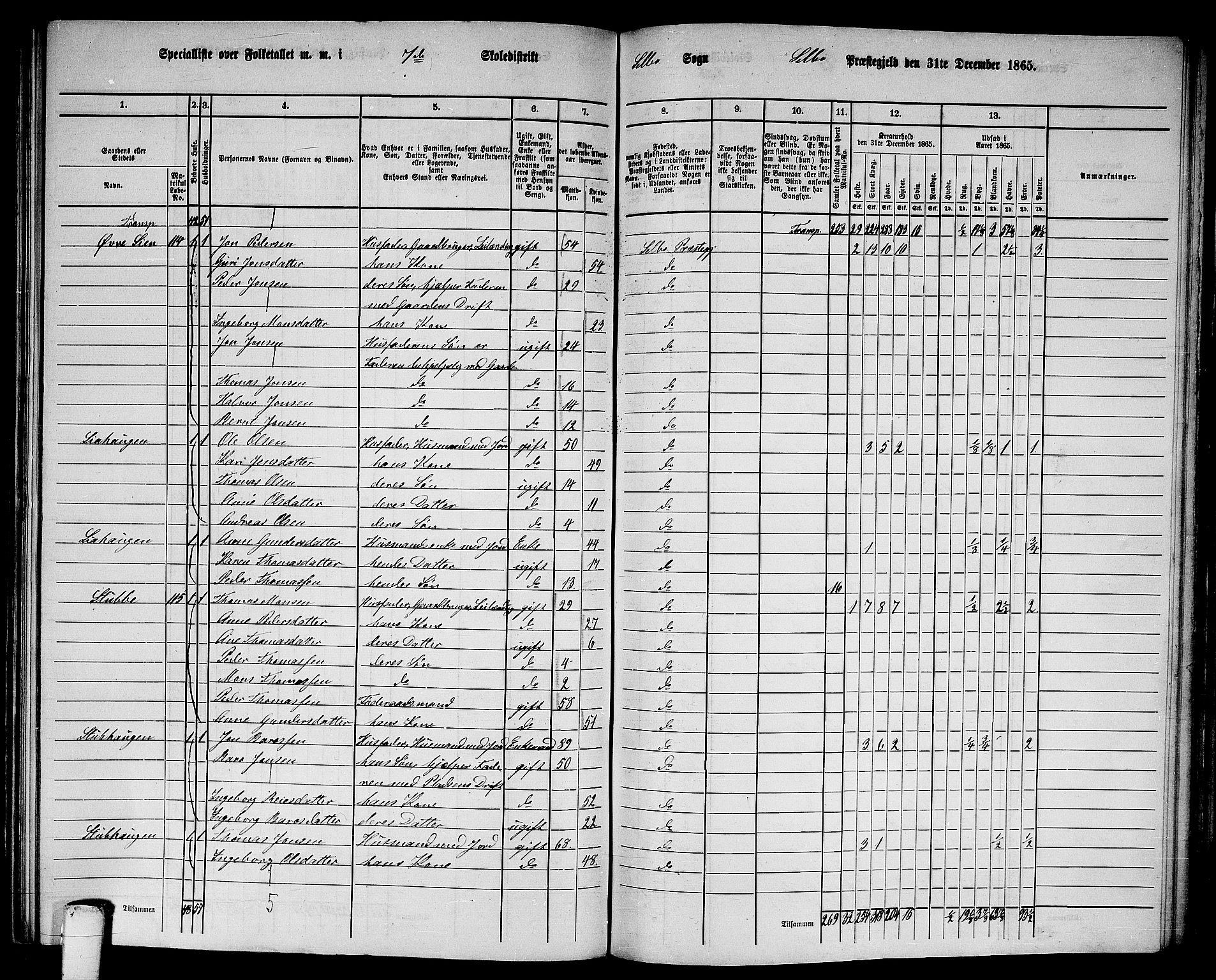 RA, 1865 census for Selbu, 1865, p. 124