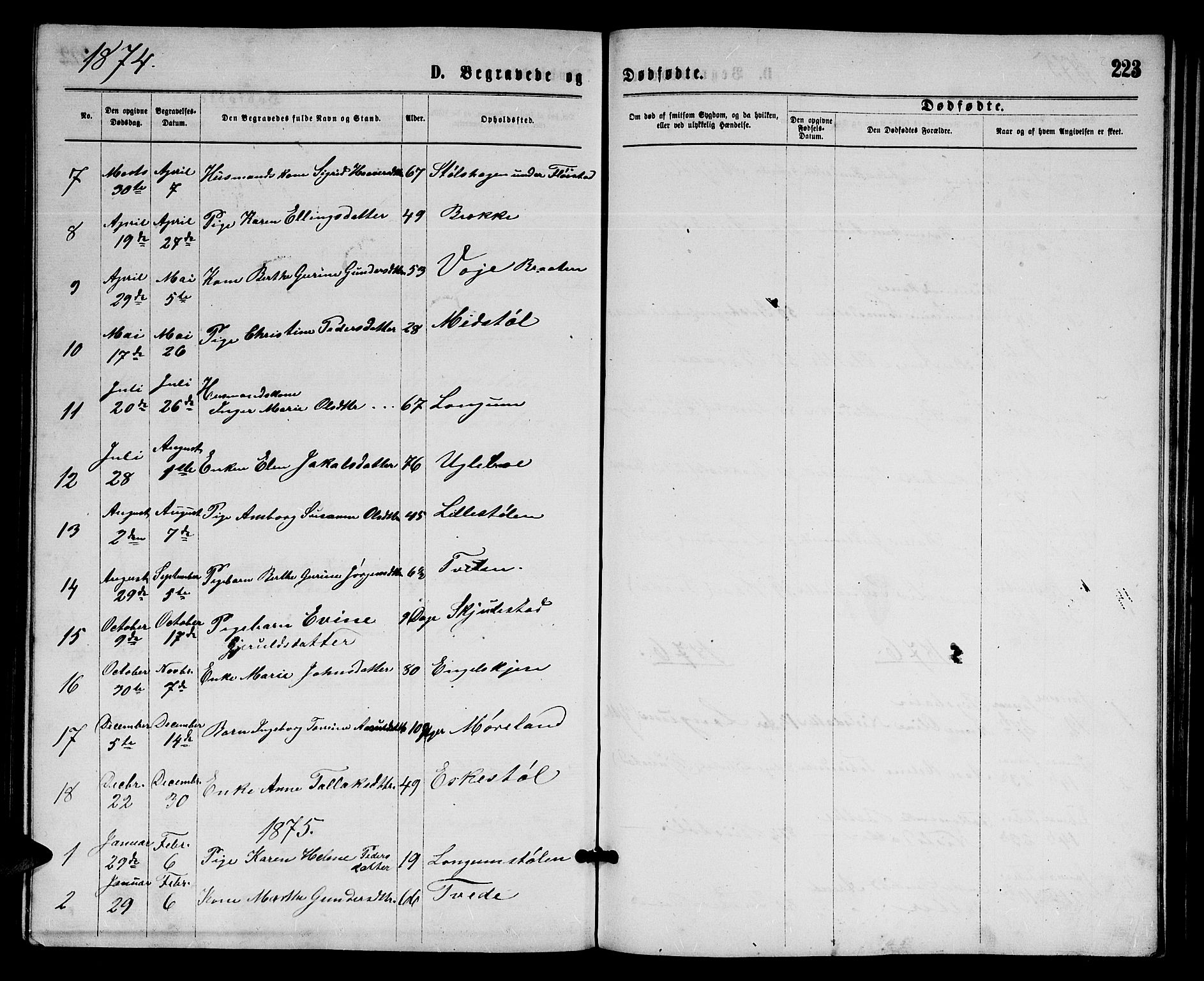 Austre Moland sokneprestkontor, AV/SAK-1111-0001/F/Fb/Fba/L0002: Parish register (copy) no. B 2, 1869-1879, p. 223