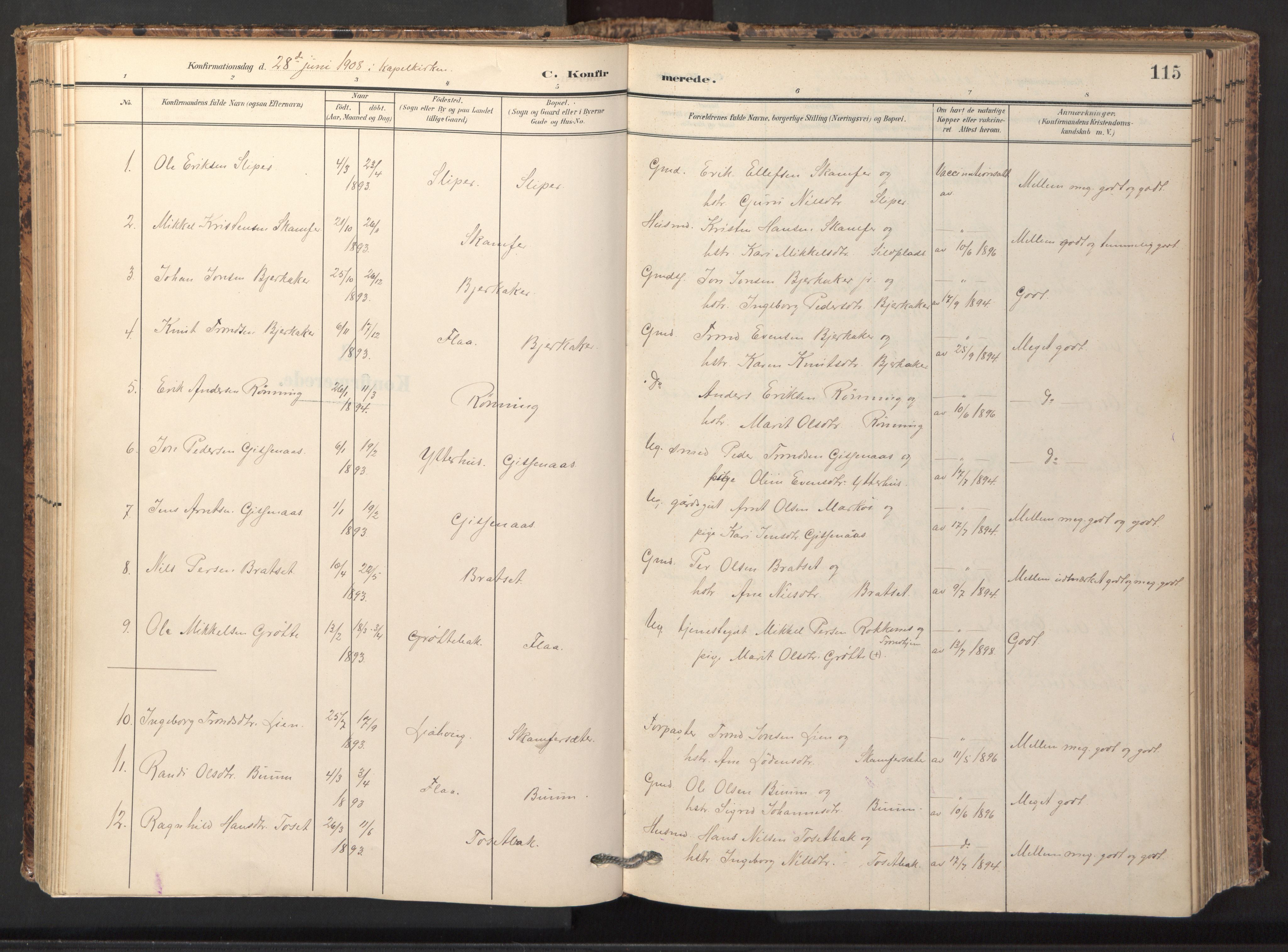 Ministerialprotokoller, klokkerbøker og fødselsregistre - Sør-Trøndelag, SAT/A-1456/674/L0873: Parish register (official) no. 674A05, 1908-1923, p. 115