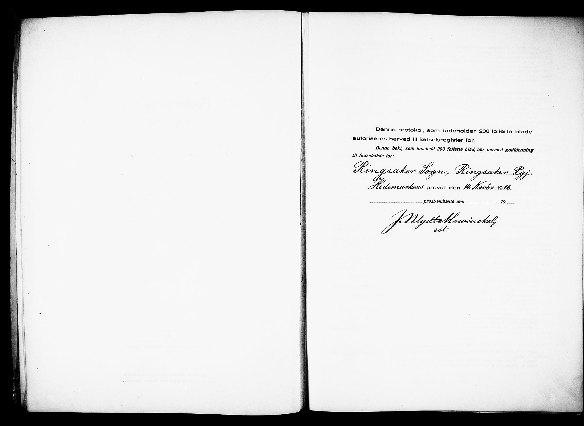 Ringsaker prestekontor, AV/SAH-PREST-014/O/Oa/L0001: Birth register no. 1, 1916-1925