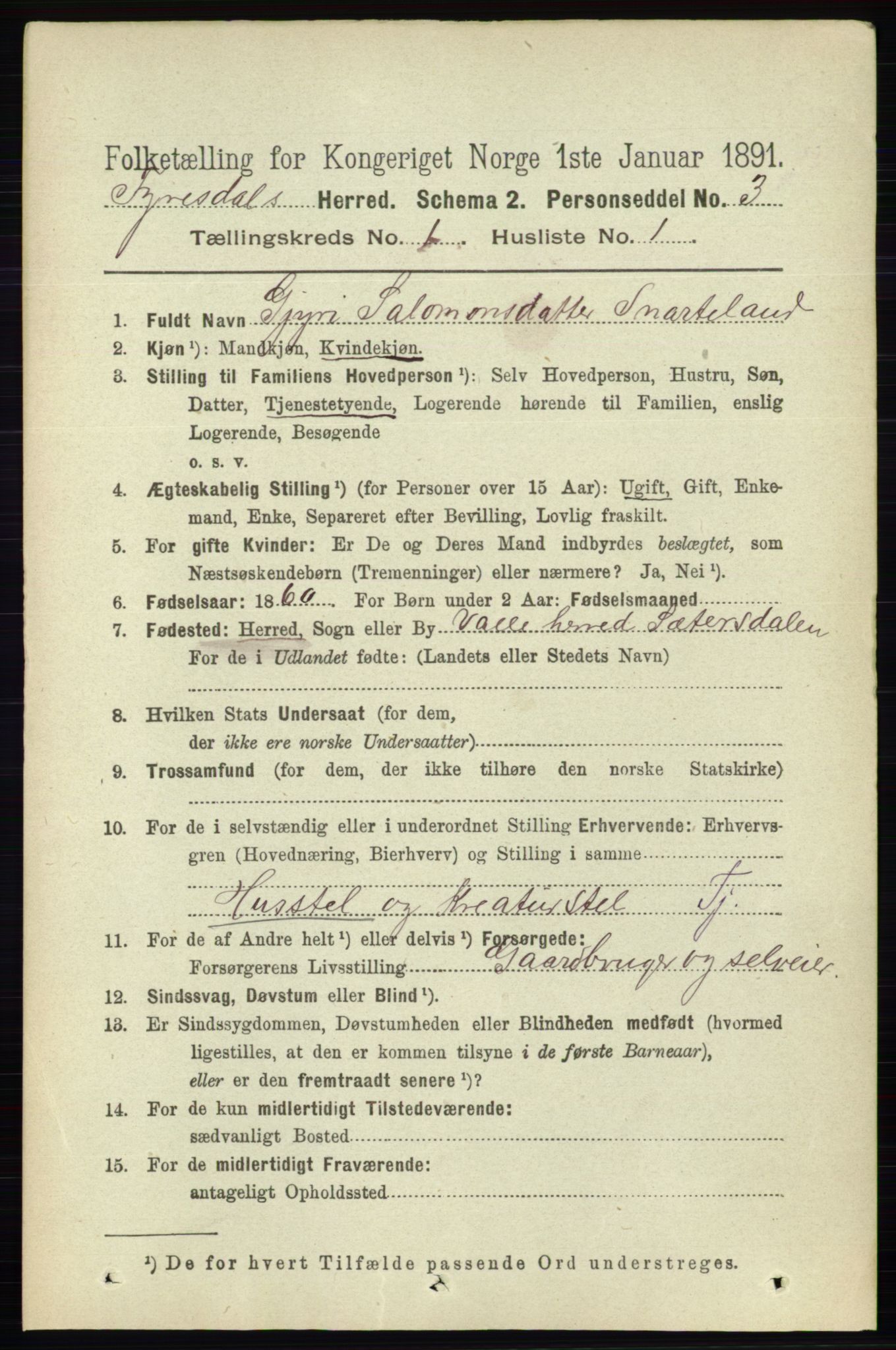 RA, 1891 census for 0831 Fyresdal, 1891, p. 65