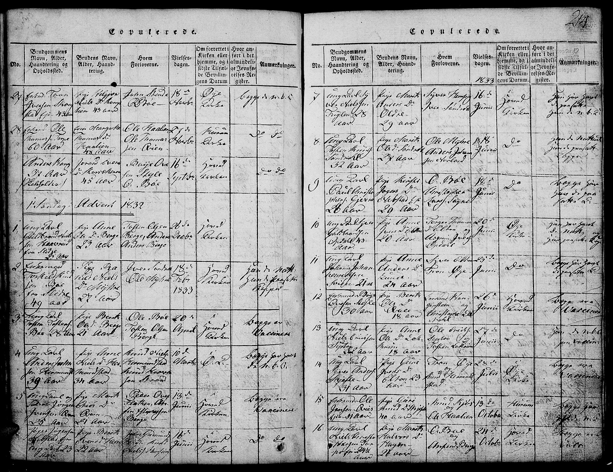 Vang prestekontor, Valdres, SAH/PREST-140/H/Hb/L0002: Parish register (copy) no. 2, 1814-1889, p. 214