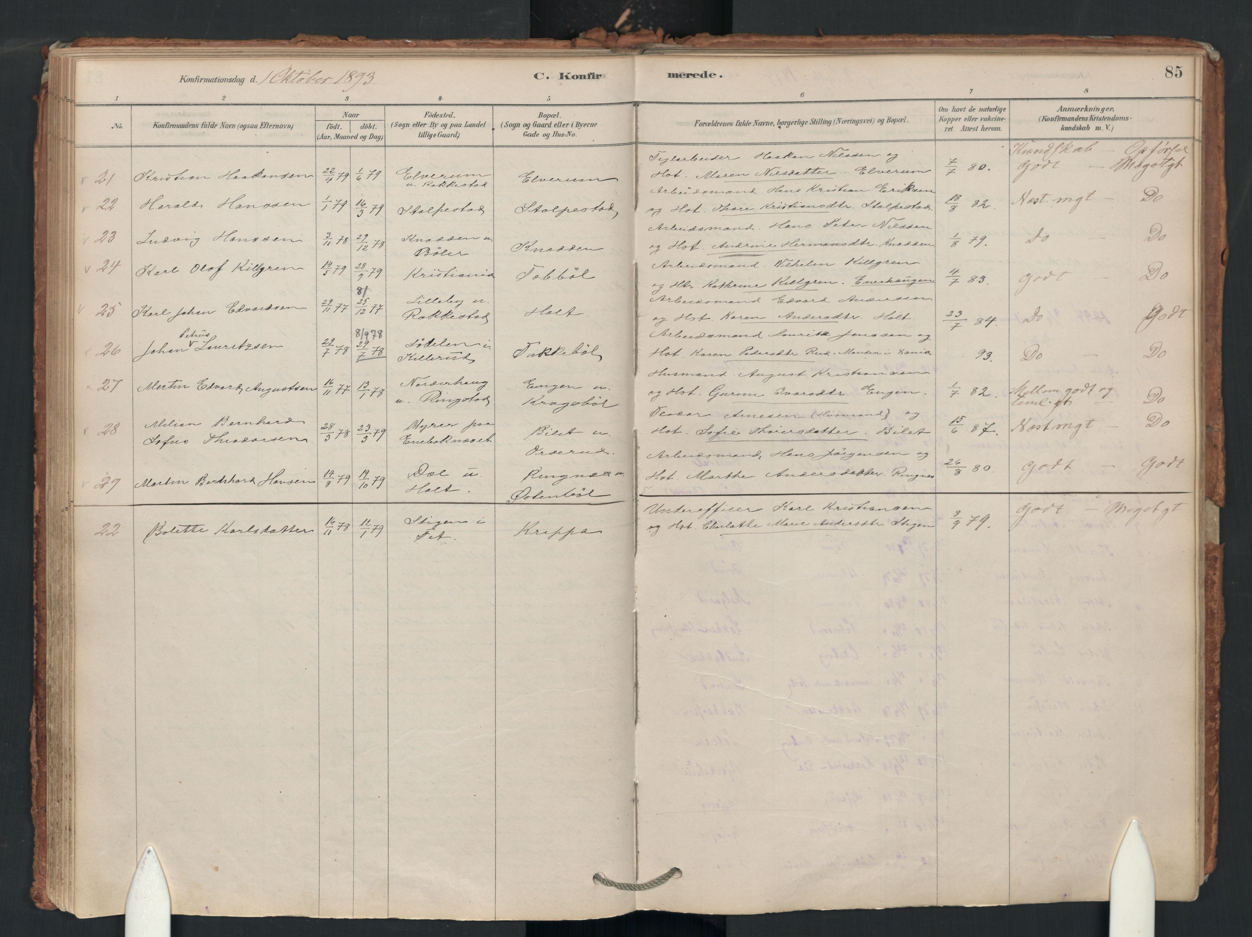 Enebakk prestekontor Kirkebøker, SAO/A-10171c/F/Fa/L0018: Parish register (official) no. I 18, 1877-1930, p. 85