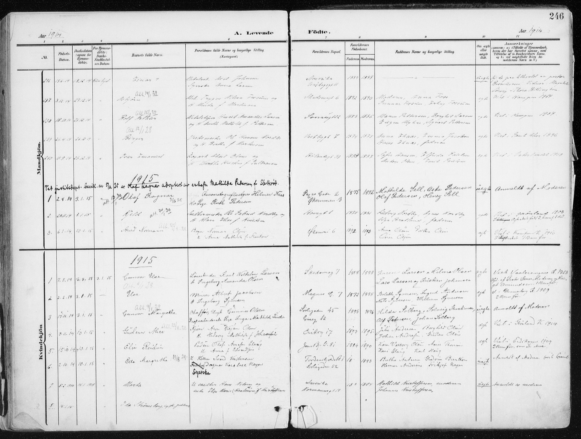 Kampen prestekontor Kirkebøker, SAO/A-10853/F/Fa/L0010: Parish register (official) no. I 10, 1905-1917, p. 246