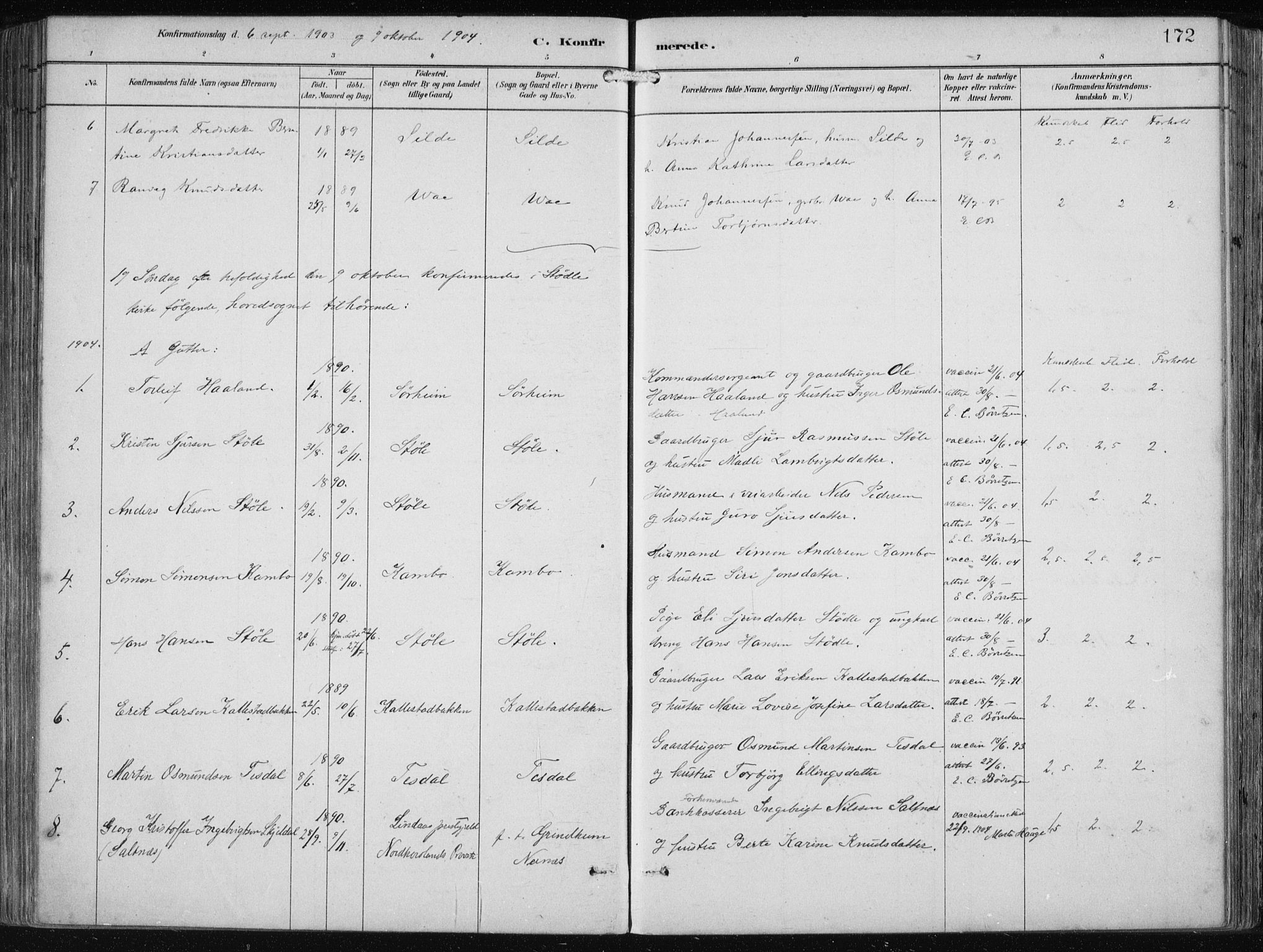 Etne sokneprestembete, AV/SAB-A-75001/H/Haa: Parish register (official) no. B  1, 1879-1919, p. 172