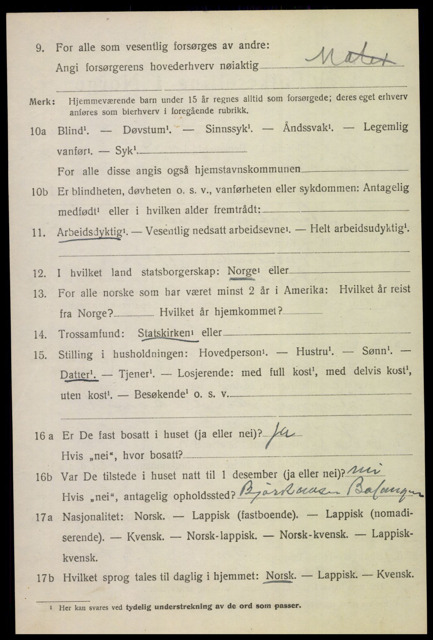 SAT, 1920 census for Beiarn, 1920, p. 1091