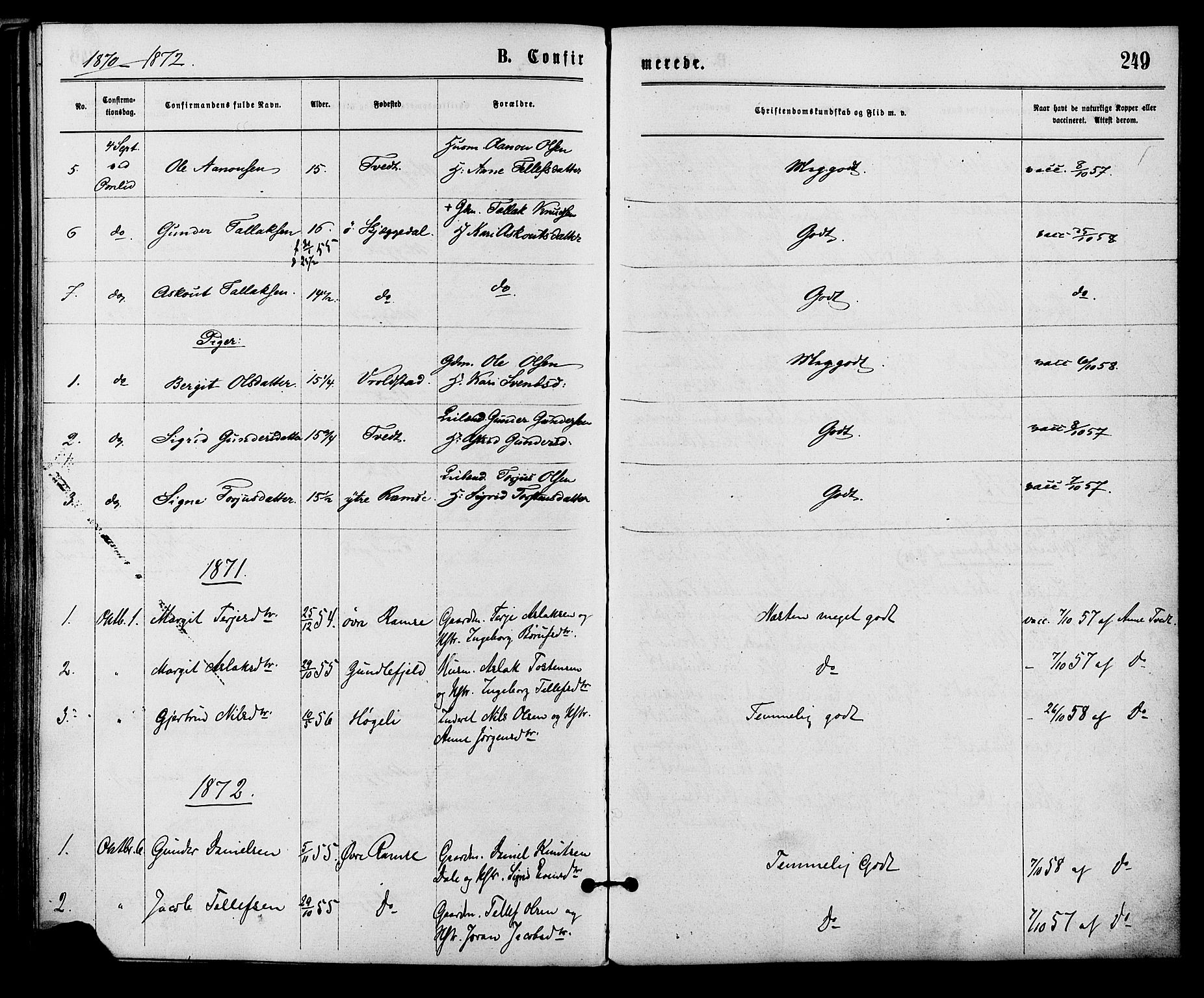 Åmli sokneprestkontor, SAK/1111-0050/F/Fa/Fac/L0009: Parish register (official) no. A 9 /3, 1869-1884, p. 249