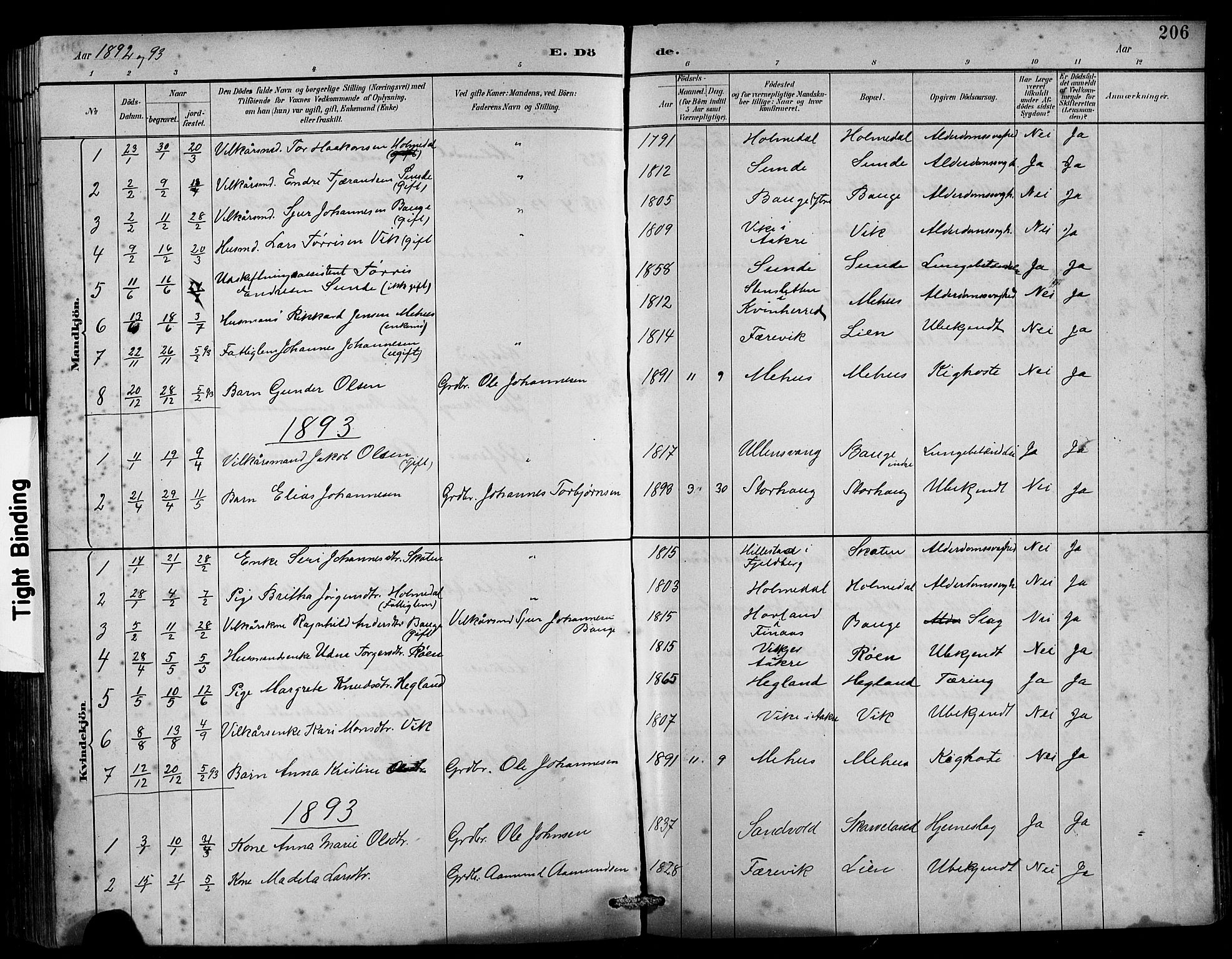 Husnes Sokneprestembete, AV/SAB-A-75901/H/Hab: Parish register (copy) no. B 2, 1884-1914, p. 206