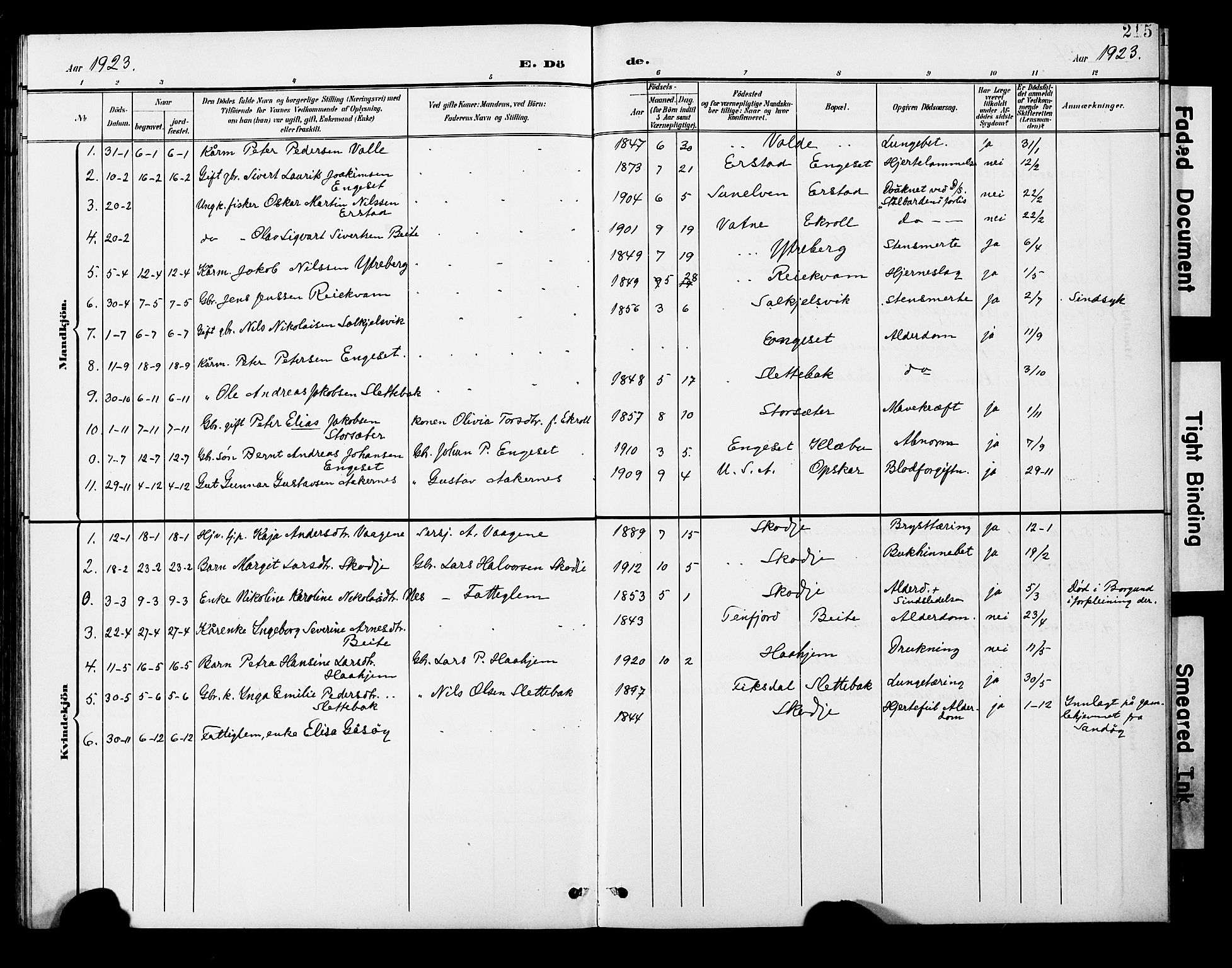 Ministerialprotokoller, klokkerbøker og fødselsregistre - Møre og Romsdal, AV/SAT-A-1454/524/L0366: Parish register (copy) no. 524C07, 1900-1931, p. 215