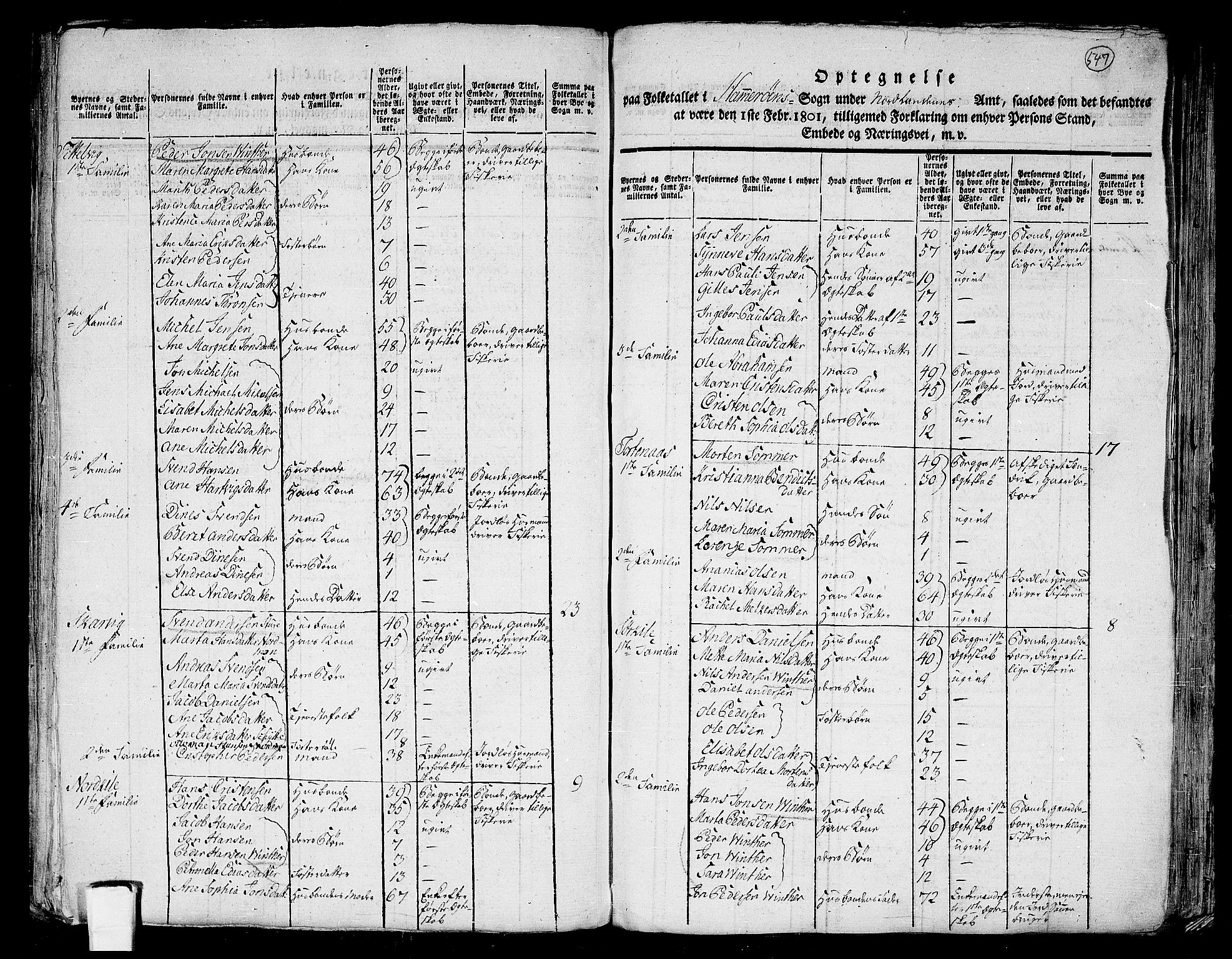 RA, 1801 census for 1848P Steigen, 1801, p. 546b-547a